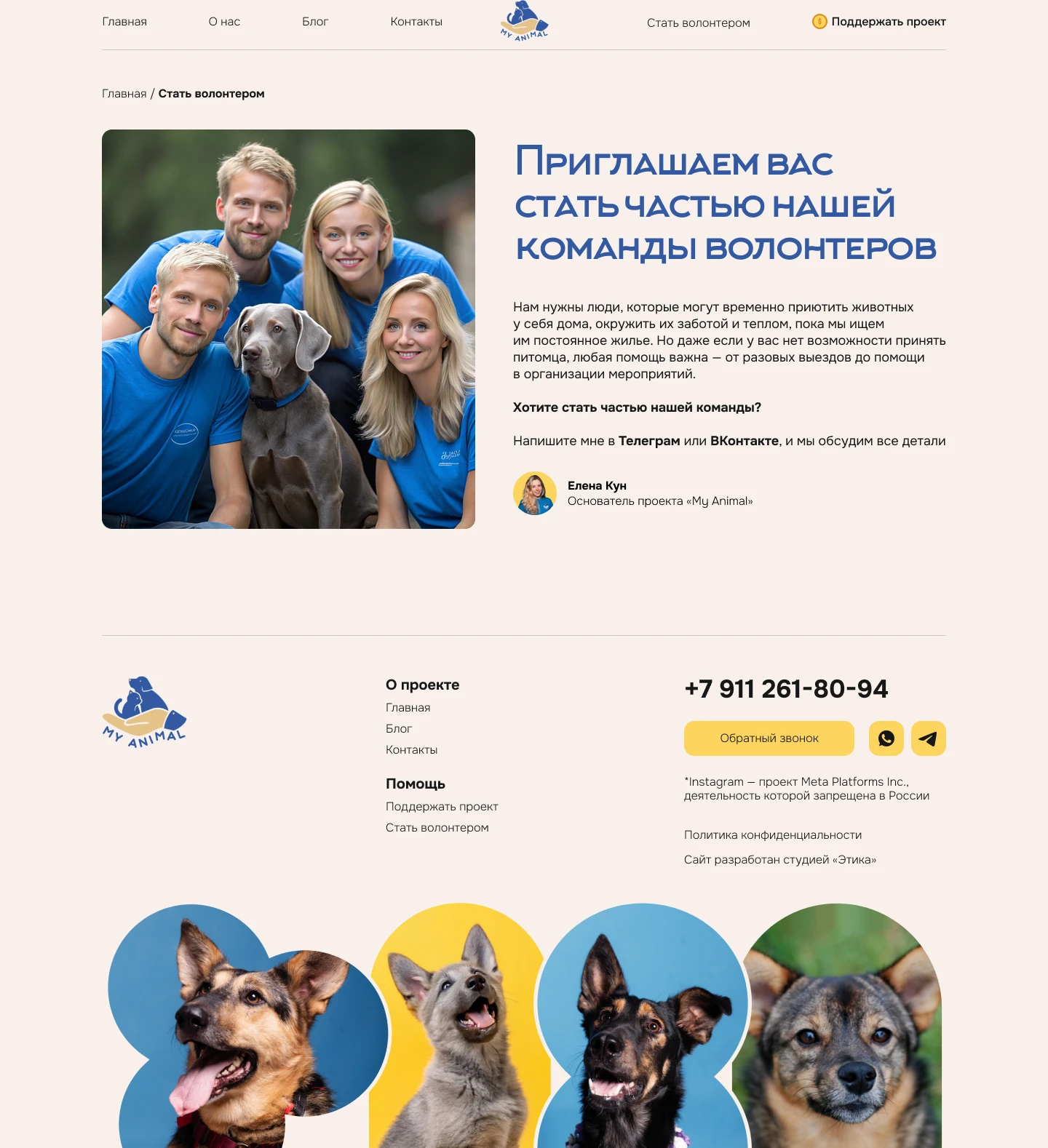 Сайт благотворительного фонда — Изображение №2 — Интерфейсы на Dprofile