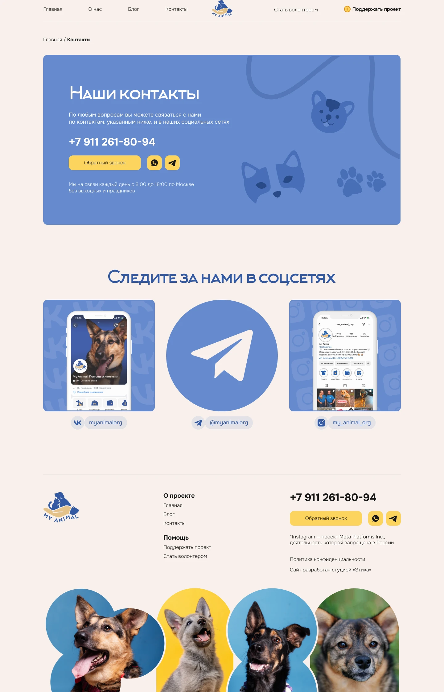 Сайт благотворительного фонда — Изображение №5 — Интерфейсы на Dprofile