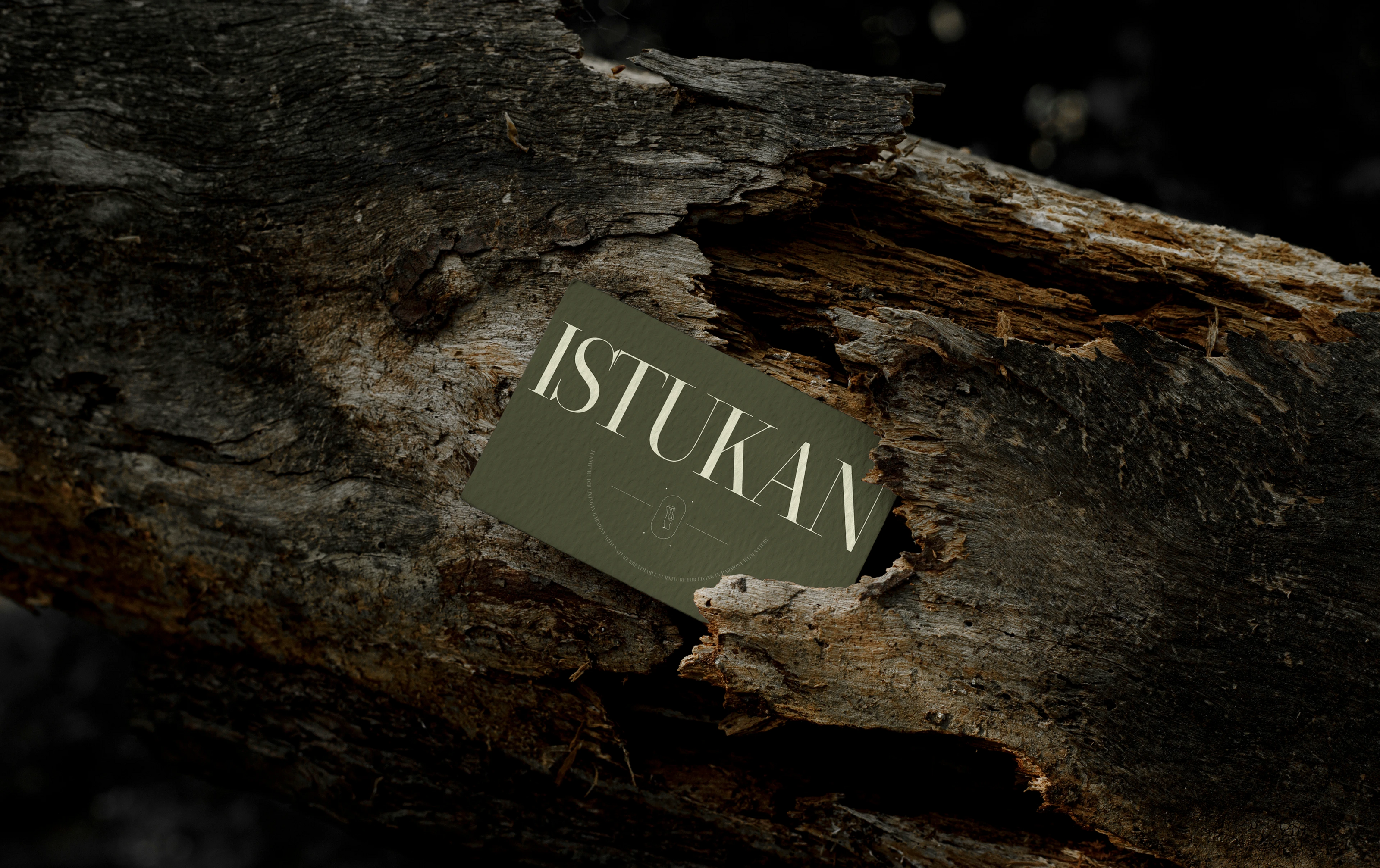 BIOFAL FURNITURE "ISTUKAN" | corporate website — Изображение №16 — Интерфейсы на Dprofile