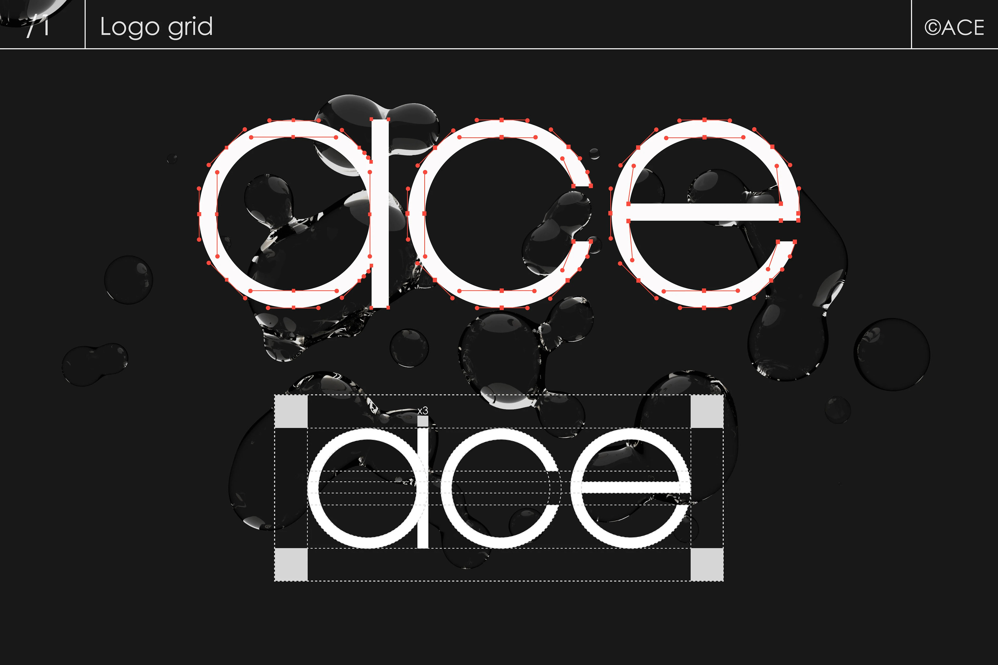 ACE | ФИРМЕННЫЙ СТИЛЬ БРЕНД КОСМЕТИКИ | ЛОГОТИП — Изображение №4 — Брендинг на Dprofile