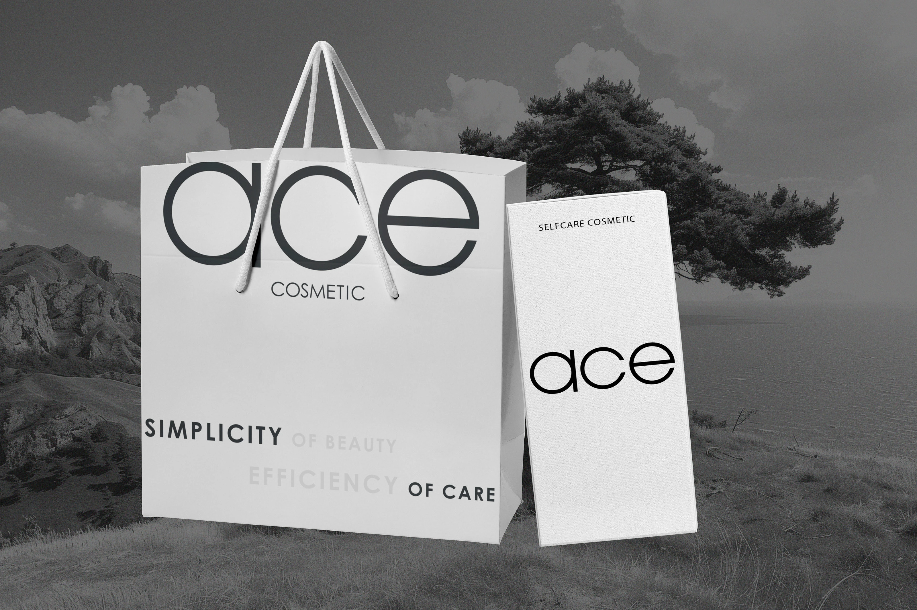ACE | ФИРМЕННЫЙ СТИЛЬ БРЕНД КОСМЕТИКИ | ЛОГОТИП — Изображение №14 — Брендинг на Dprofile
