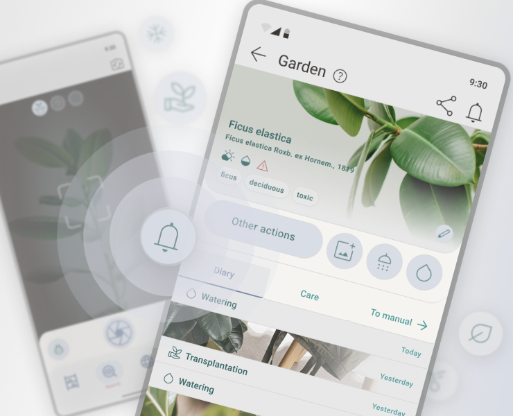 Plant-Care Application, UX/UI на Dprofile