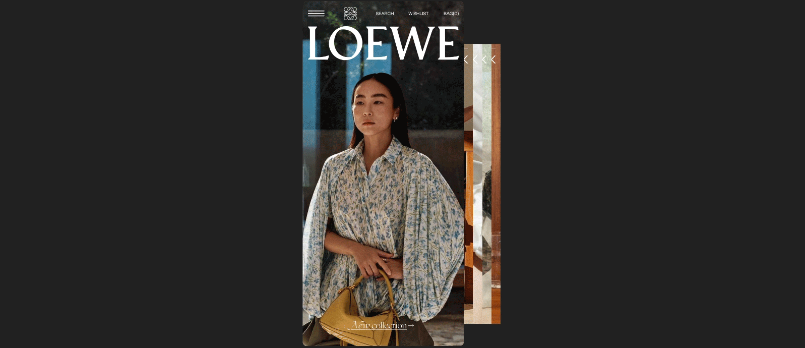 LOEWE - UX/UI Design — Изображение №17 — Интерфейсы на Dprofile