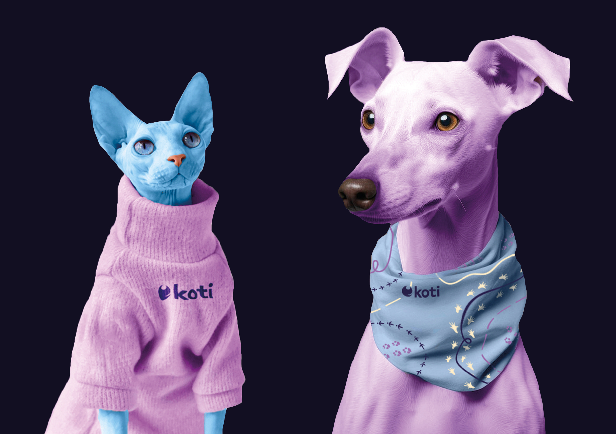 koti - космическая станция для животных — Изображение №6 — Брендинг на Dprofile