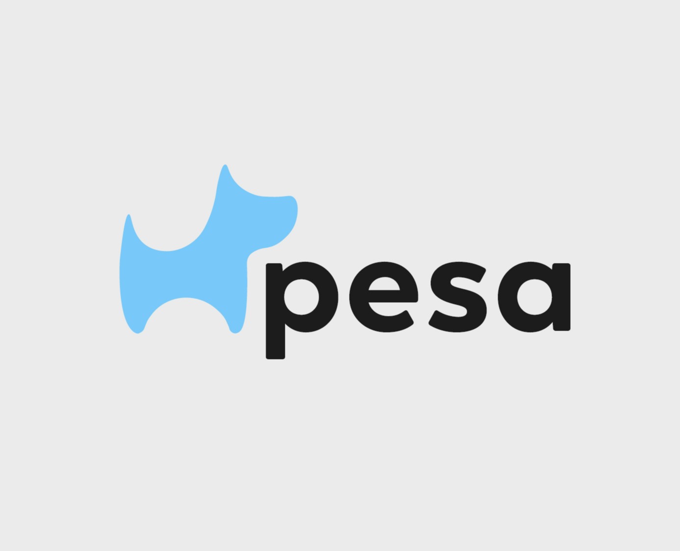Pesa - мастерская, создающая лежанки для всех питомцев на Dprofile