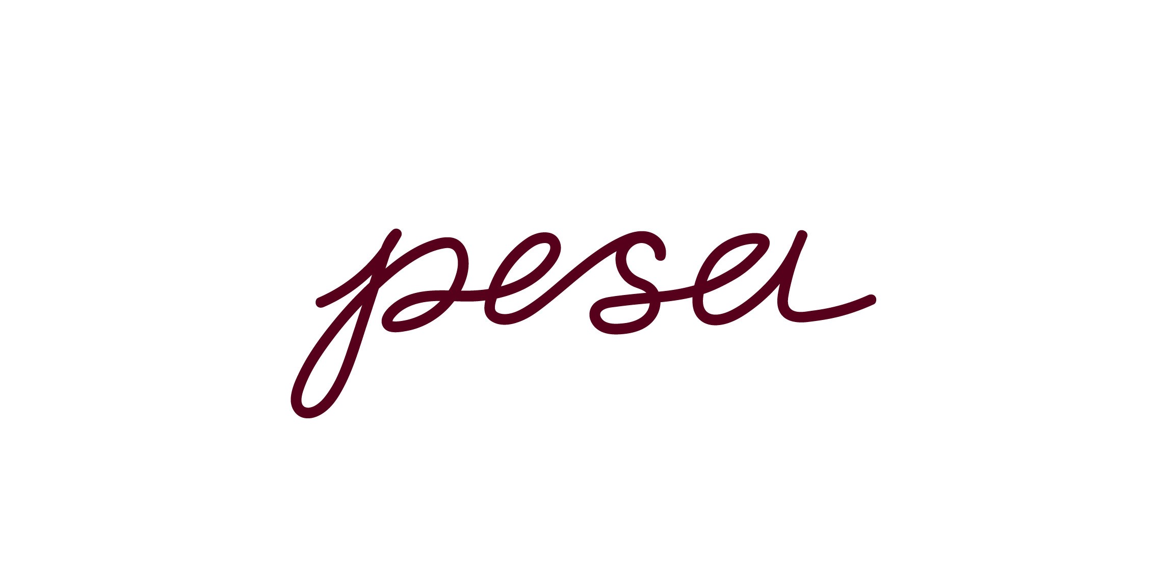 Pesa — Изображение №1 — Брендинг на Dprofile