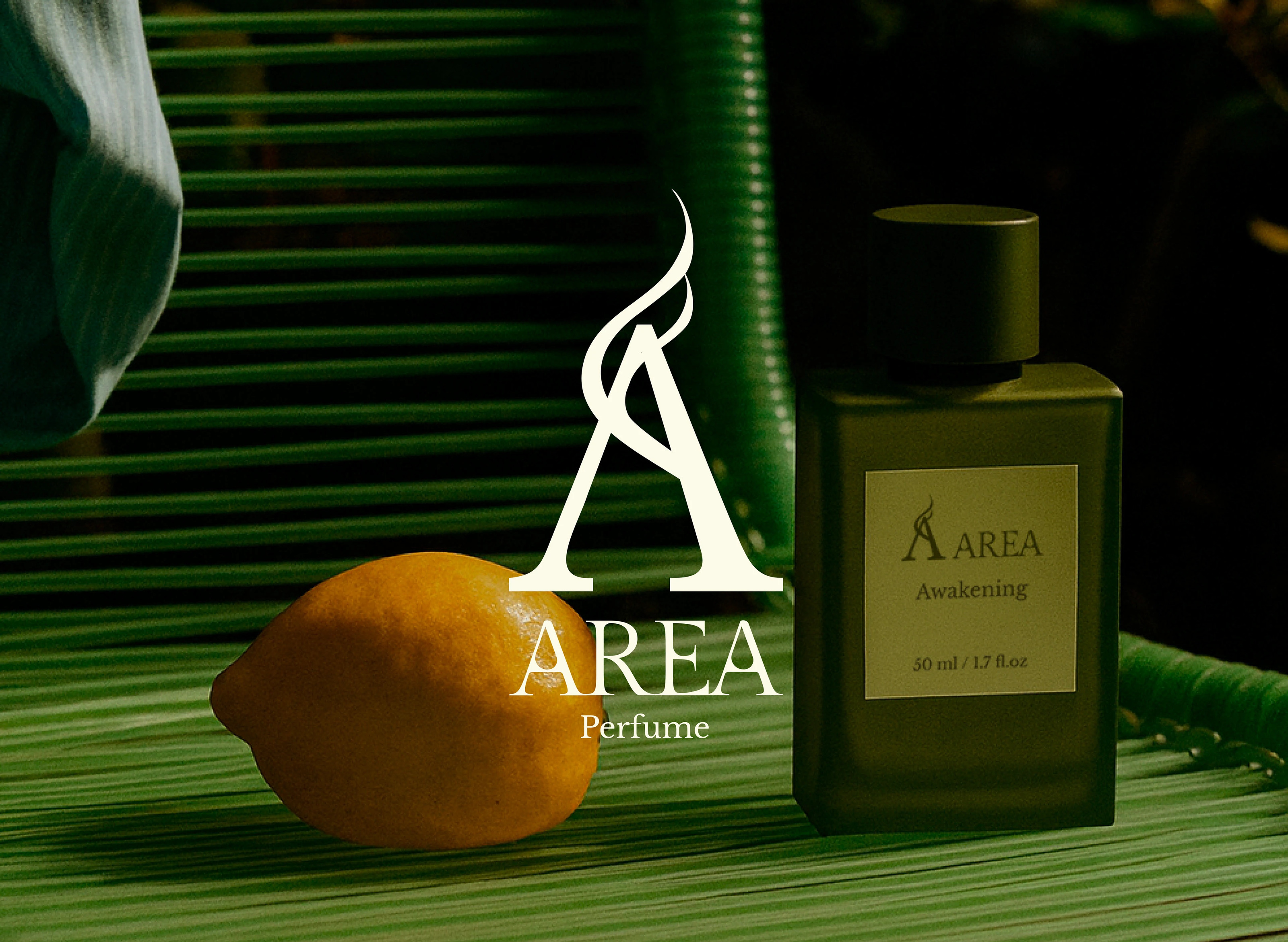AREA Perfume Brand Design — Изображение №1 — Брендинг на Dprofile