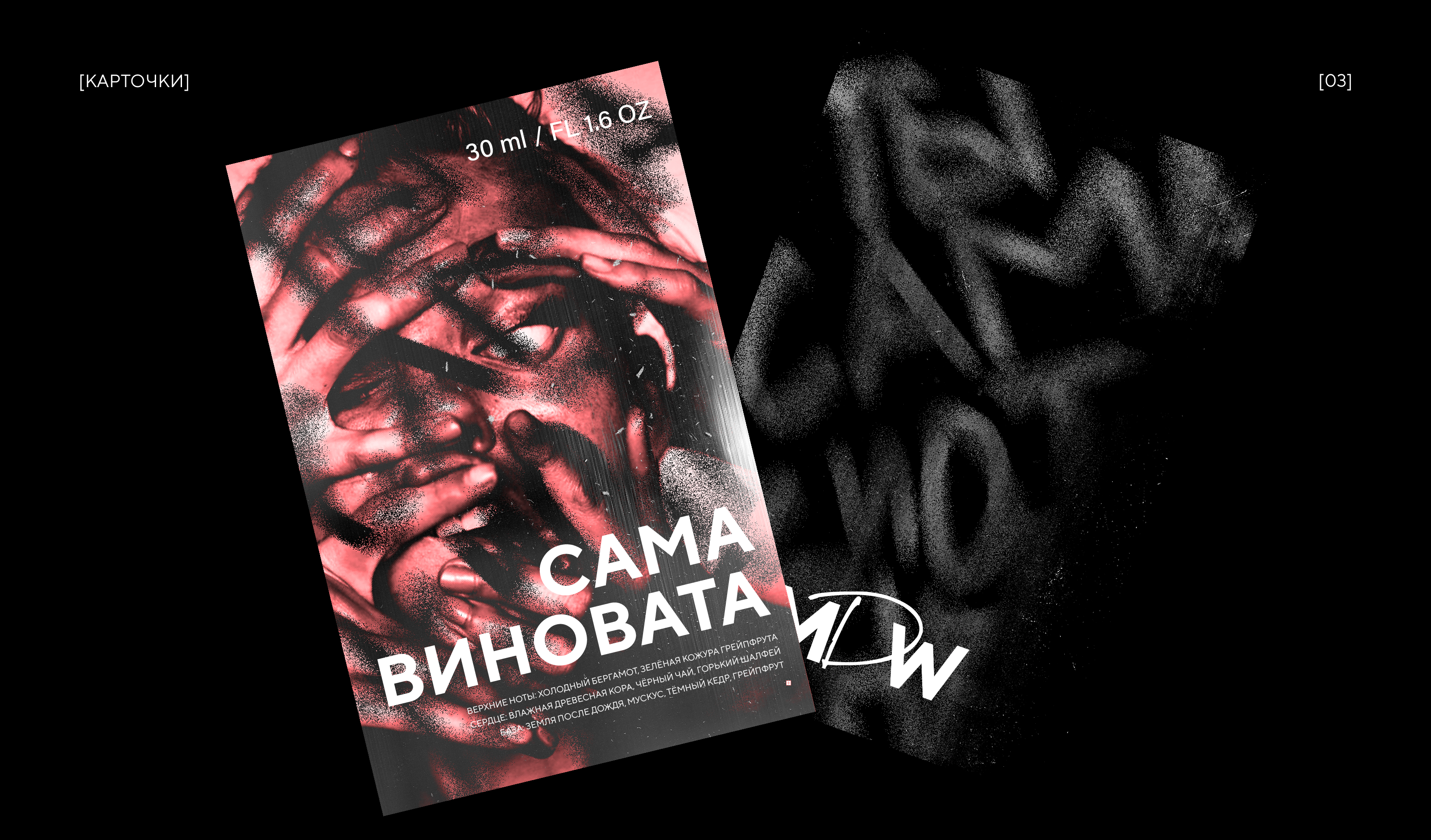 PORTFOLIO | 2025 — Изображение №24 — Брендинг, Графика на Dprofile