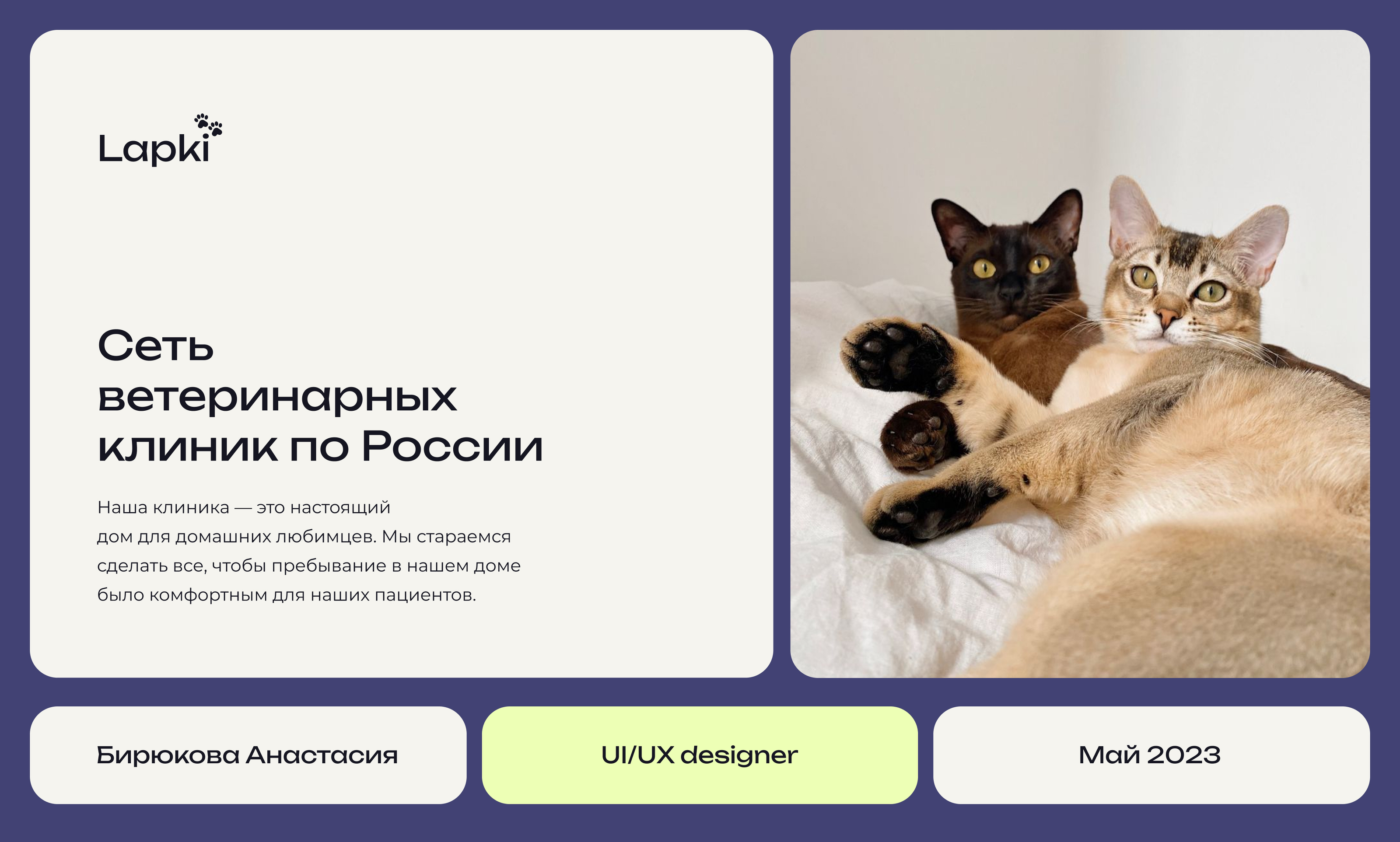 Lapki сеть ветеринарных клиник website — Изображение №1 — Интерфейсы, Графика на Dprofile