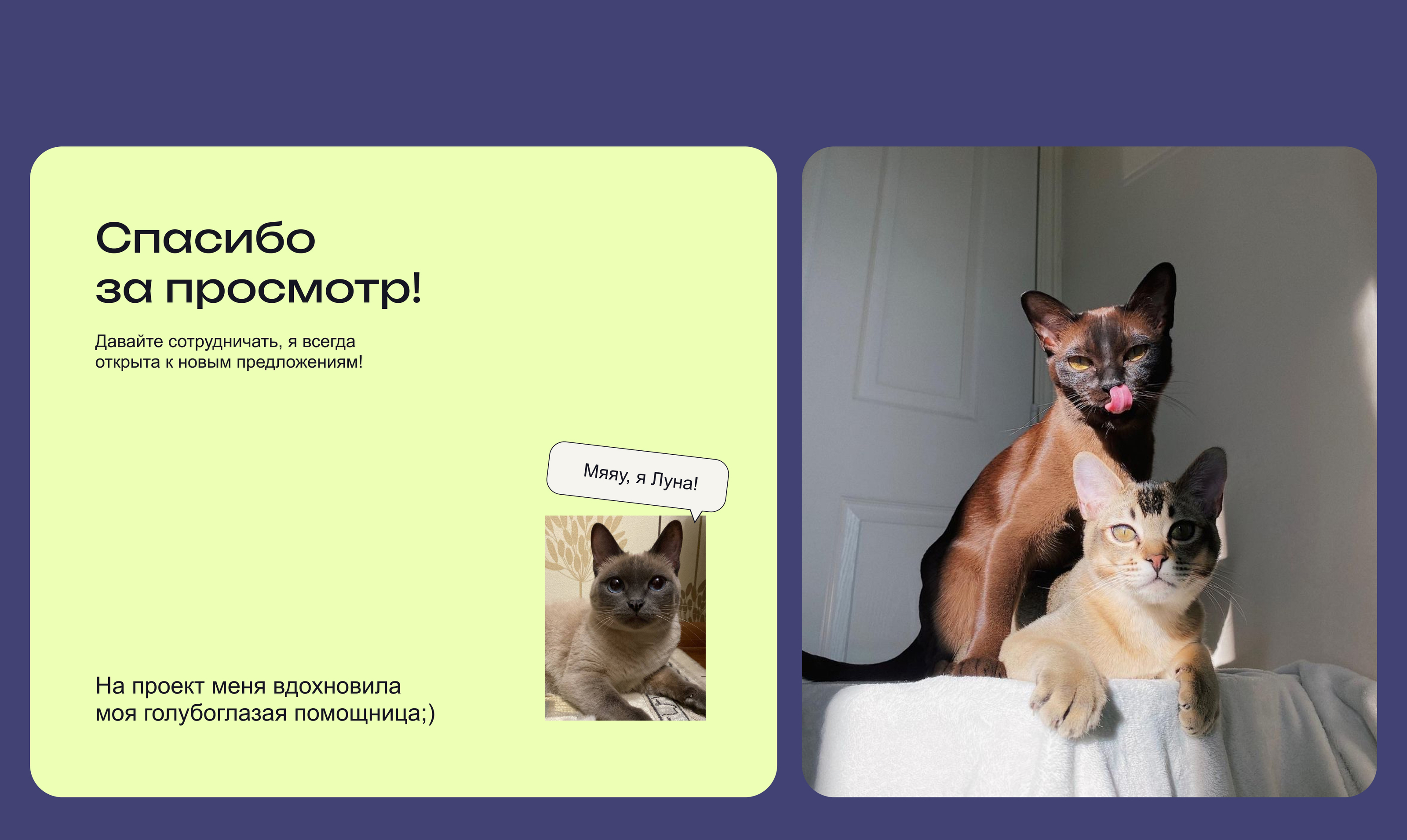 Lapki сеть ветеринарных клиник website — Изображение №10 — Интерфейсы, Графика на Dprofile