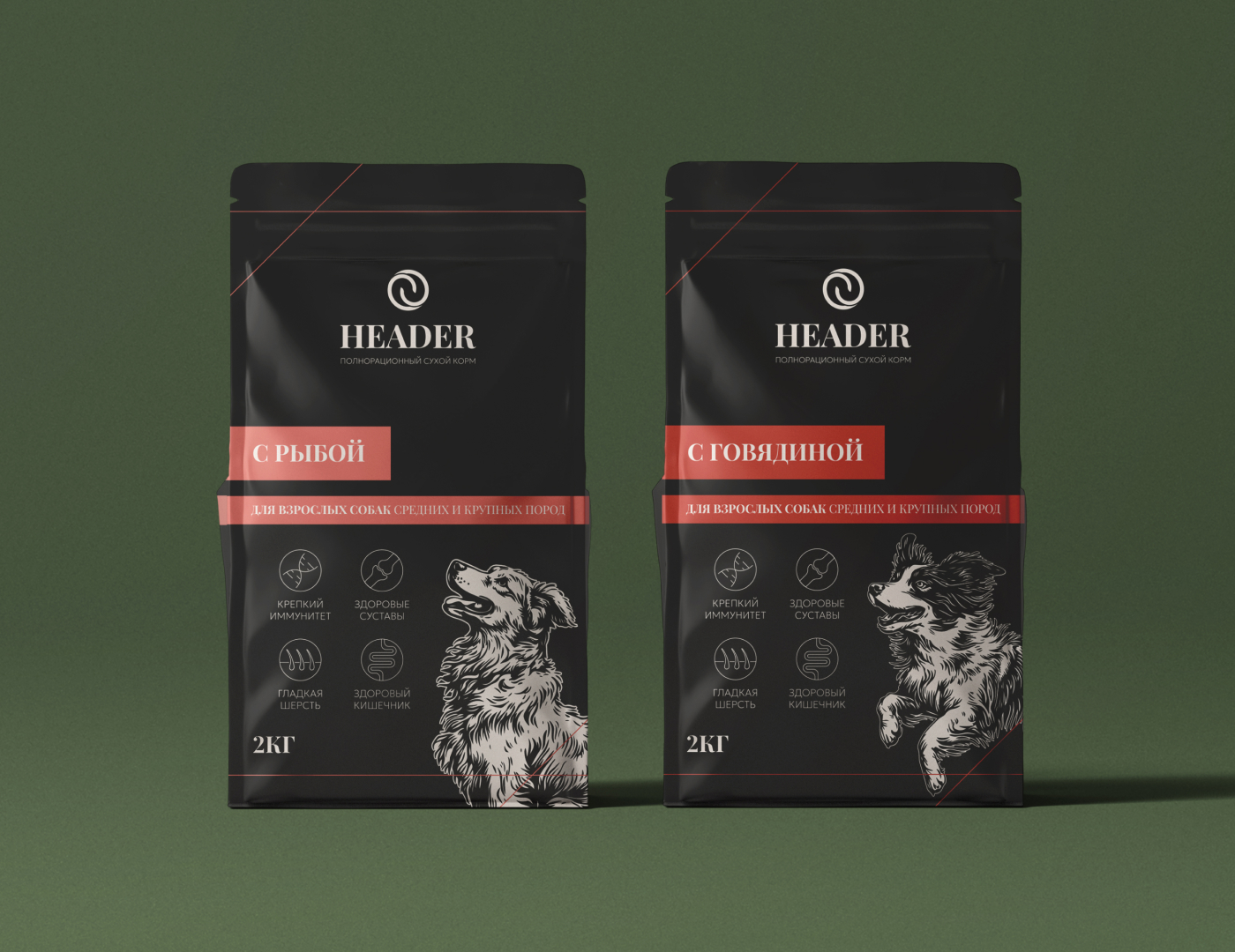 HEADER. Branding, Packaging & Web — Изображение №6 — Интерфейсы, Брендинг на Dprofile