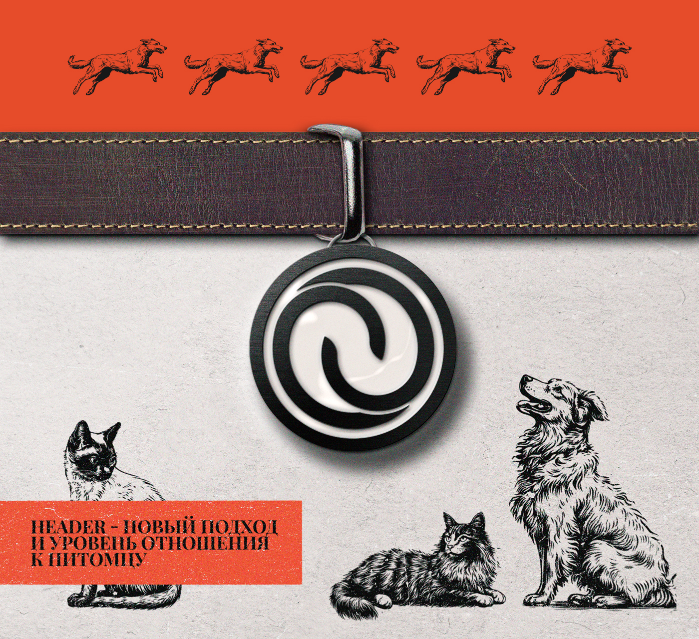 HEADER. Branding, Packaging & Web — Изображение №9 — Интерфейсы, Брендинг на Dprofile