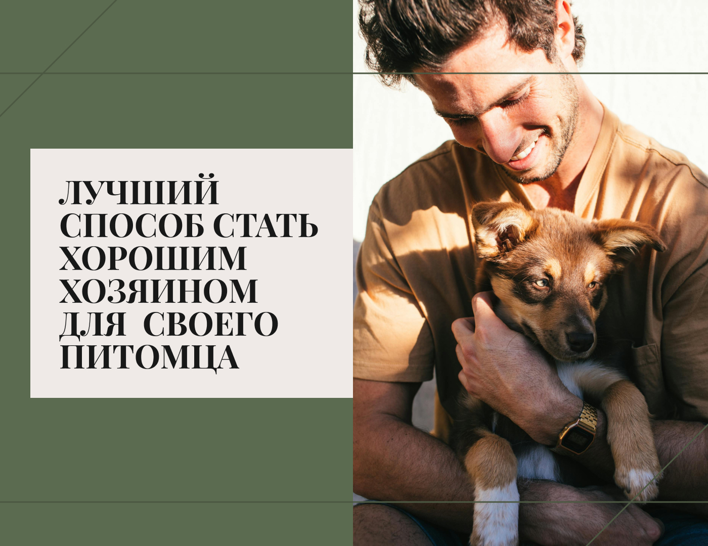 HEADER. Branding, Packaging & Web — Изображение №10 — Интерфейсы, Брендинг на Dprofile