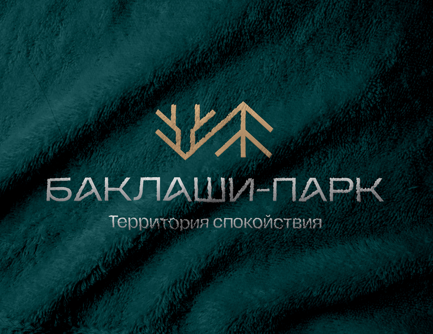 Баклаши-парк. Branding&Web-design — Изображение №5 — Интерфейсы, Брендинг на Dprofile