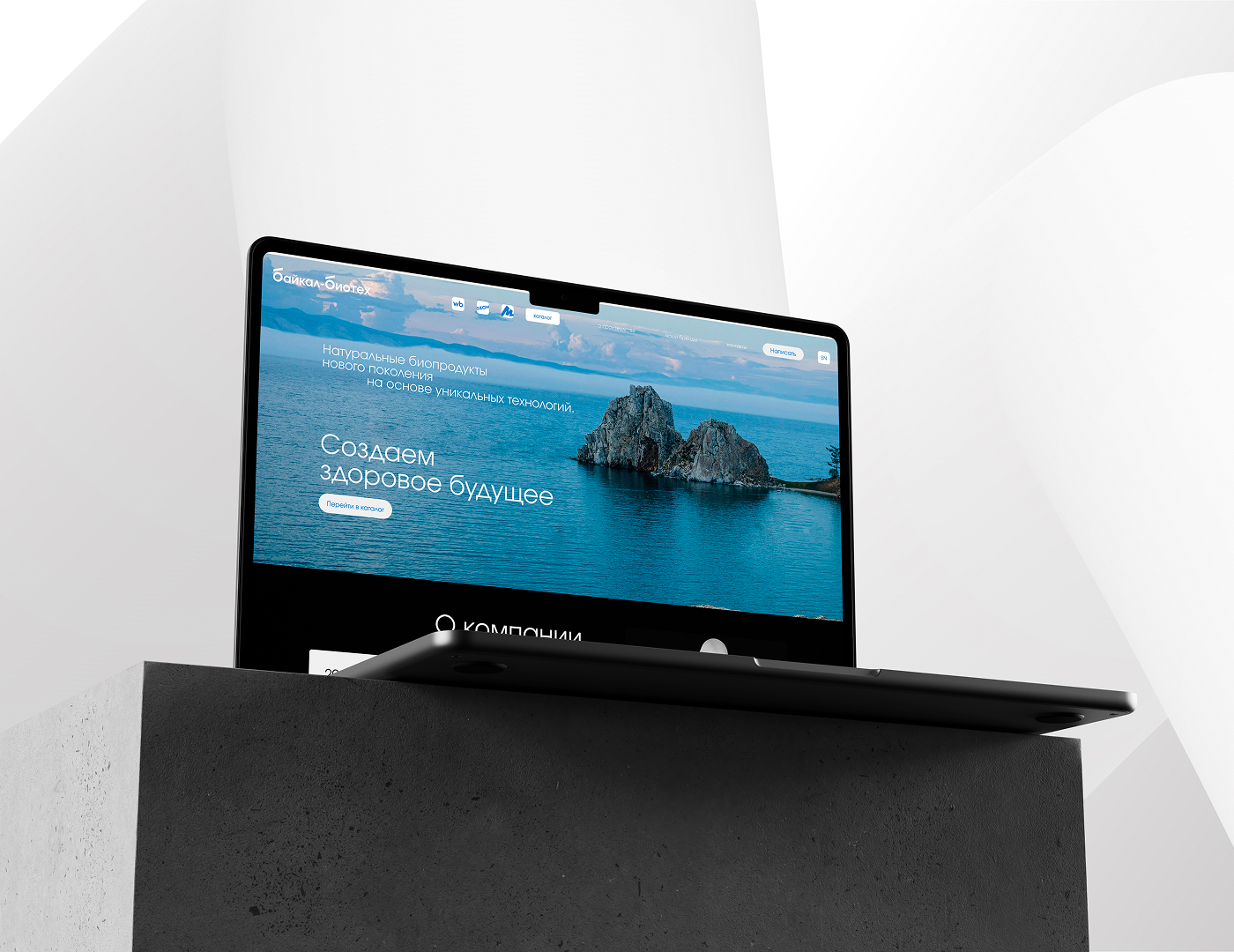 Байкал-Биотех. Branding&Web-design — Изображение №6 — Интерфейсы, Брендинг на Dprofile