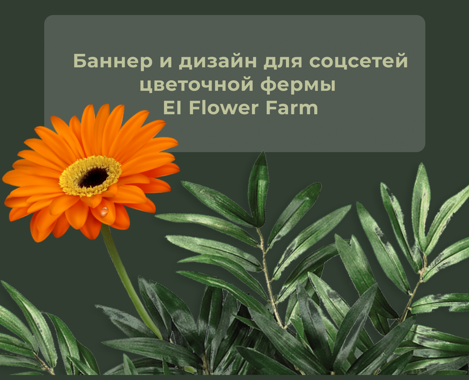Баннеры и дизайны для  EI Flower Farm — Интерфейсы, Маркетинг на Dprofile