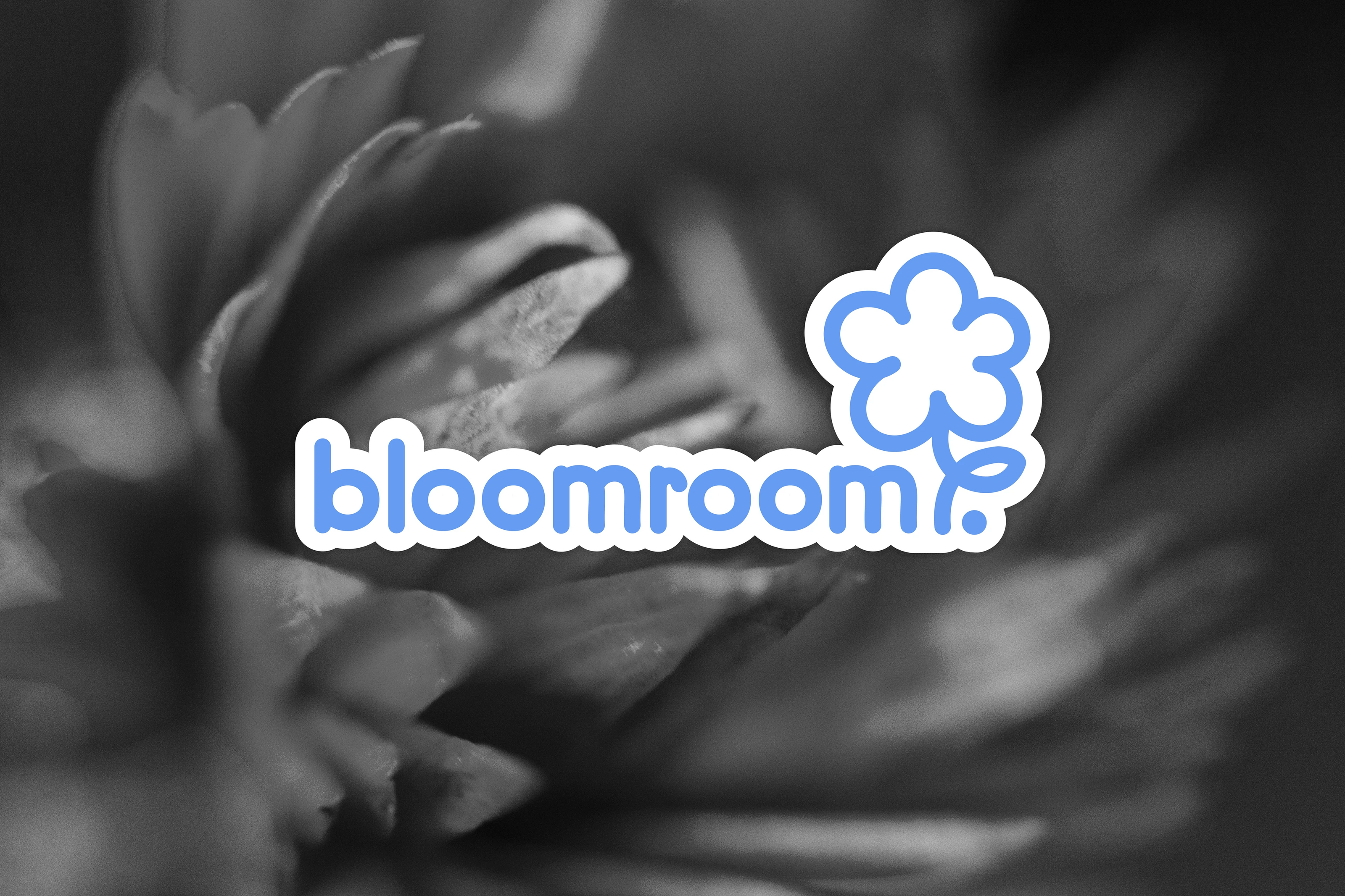 bloomroom | Фирменный стиль для цветочного бутика — Изображение №1 — Брендинг на Dprofile