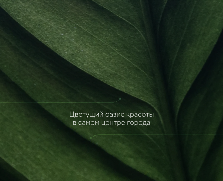 Сертификат на услуги спа-салона на Dprofile