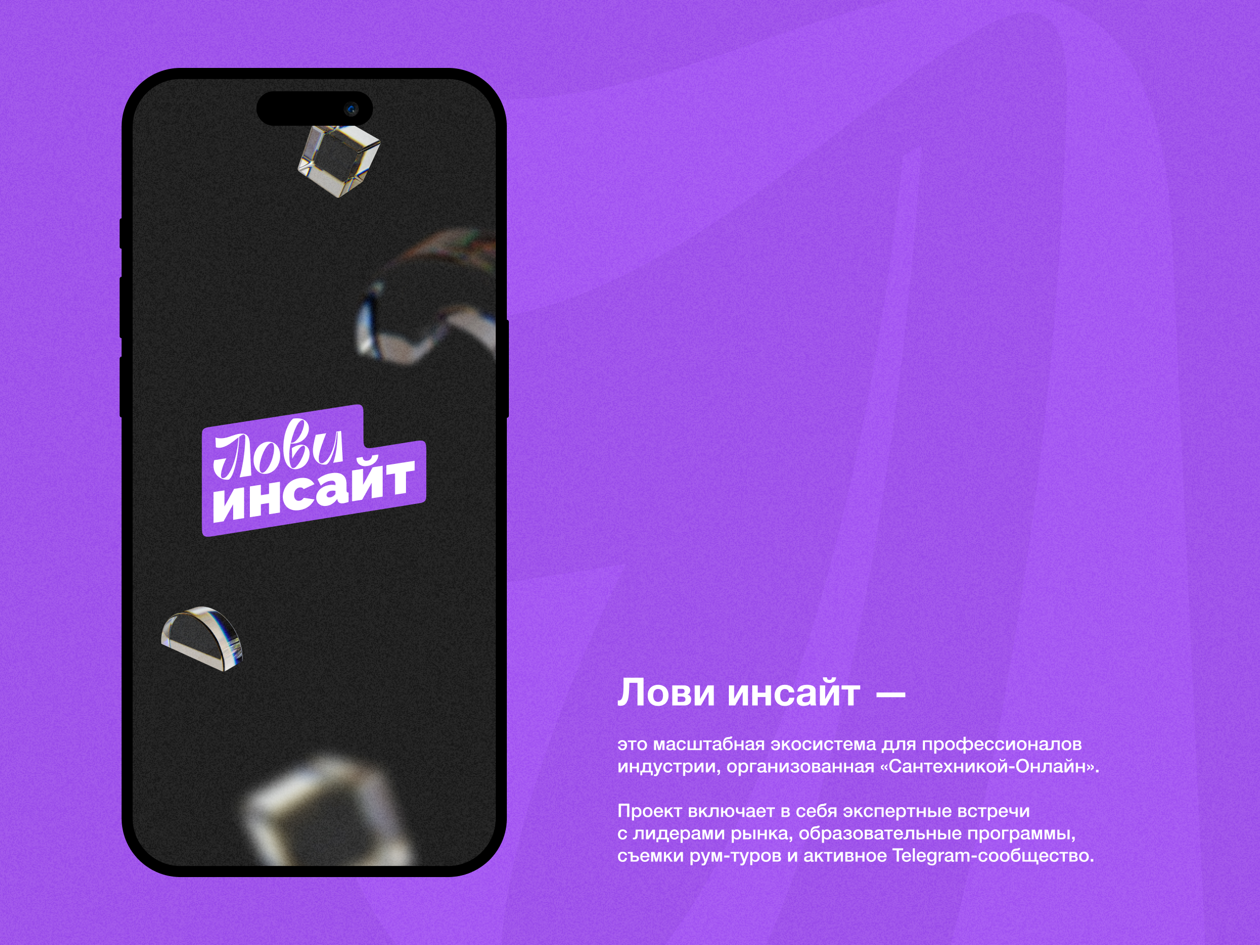 Лови Инсайт — Изображение №4 — Брендинг на Dprofile