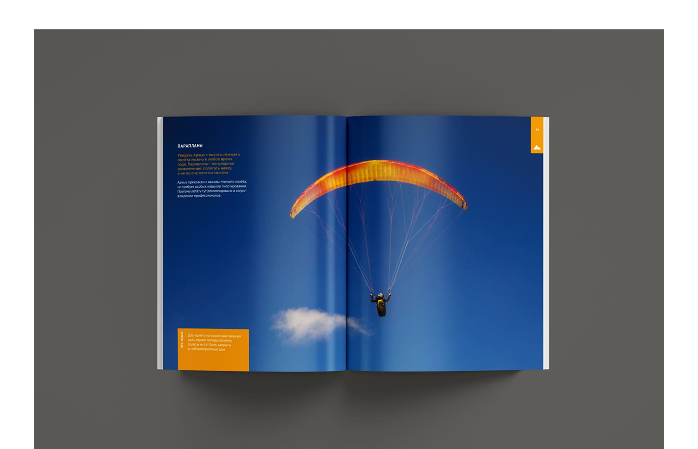 АРХЫЗ КРУГЛЫЙ ГОД — Изображение №12 — Иллюстрация, Графика на Dprofile