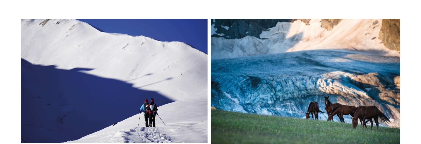 АРХЫЗ КРУГЛЫЙ ГОД — Изображение №19 — Иллюстрация, Графика на Dprofile