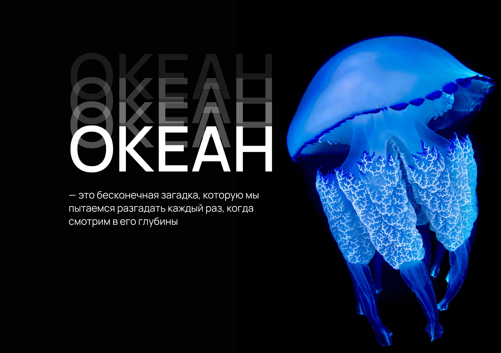 WEBSITE OCEANARIUM — Изображение №3 — Интерфейсы на Dprofile
