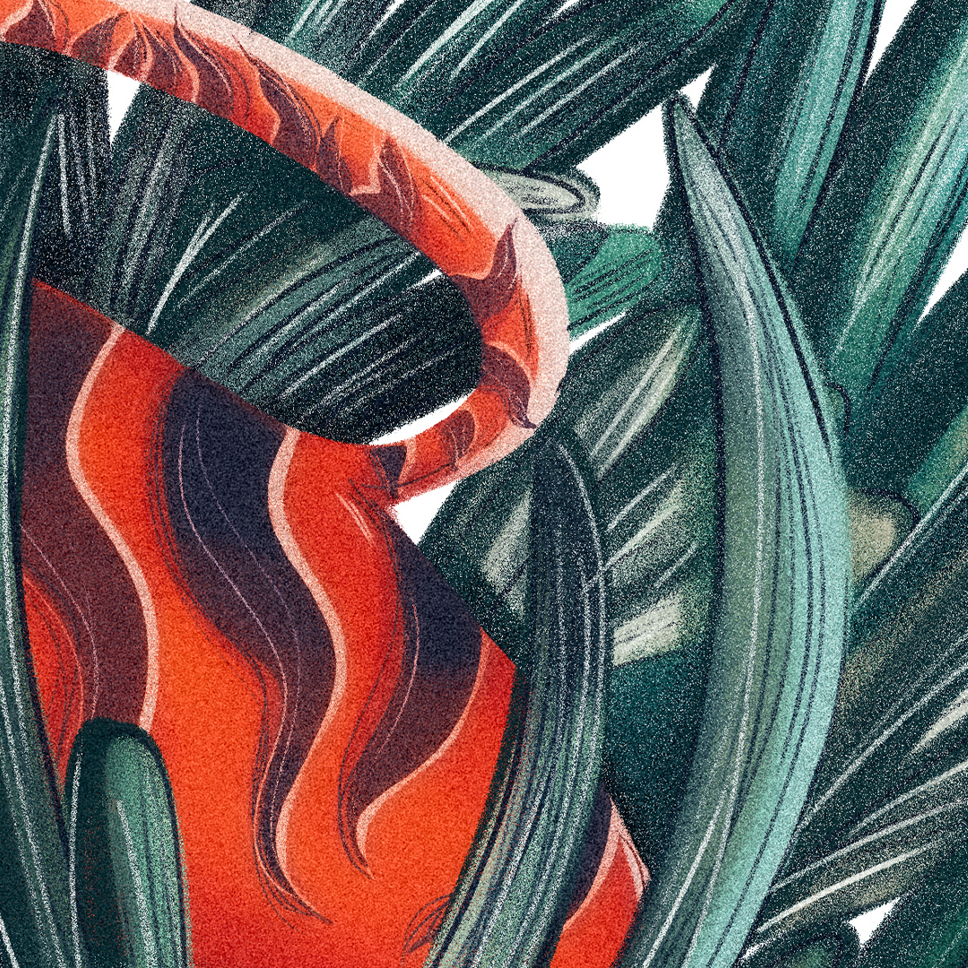Тигра — Изображение №3 — Брендинг, Иллюстрация на Dprofile