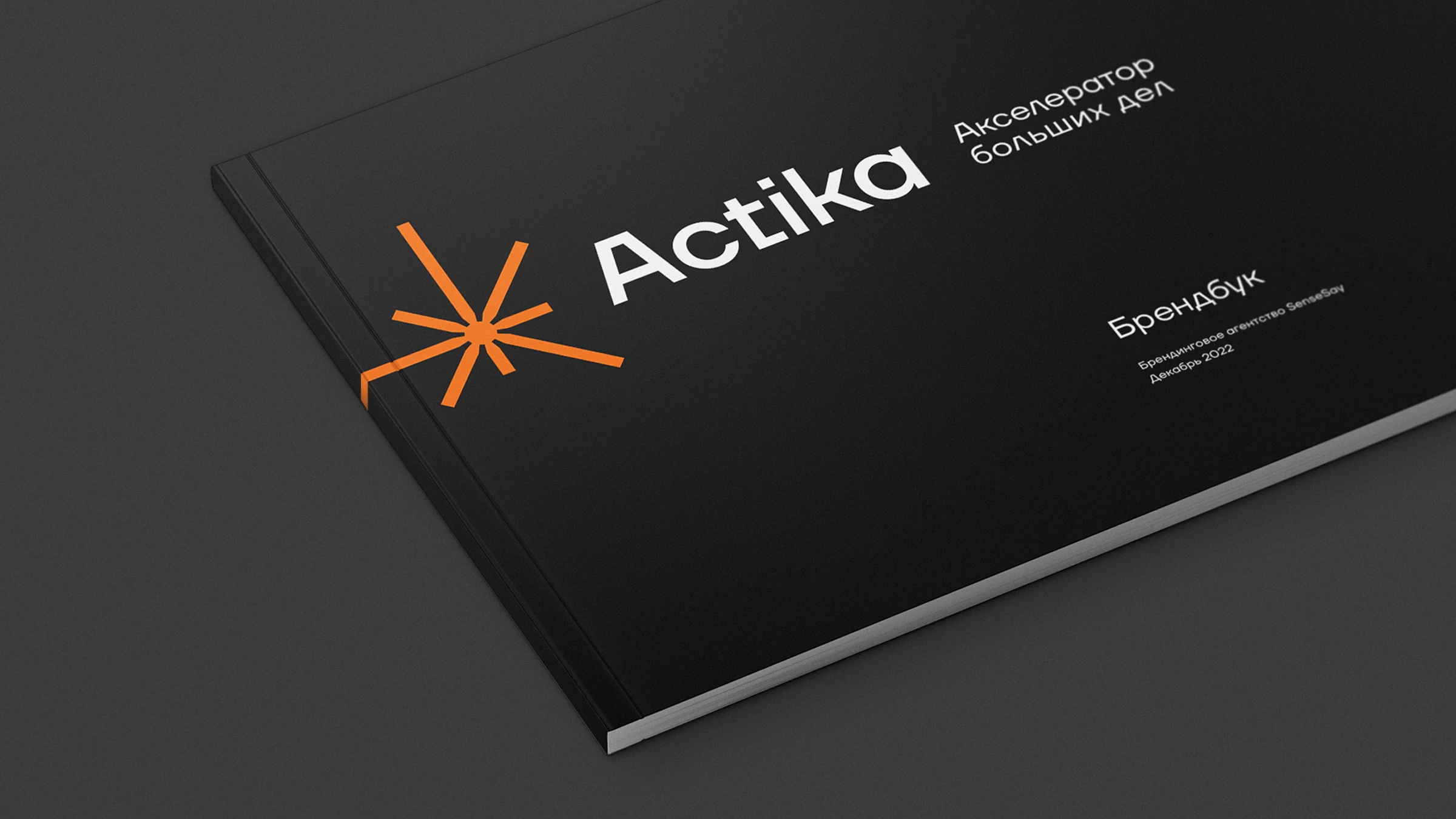 Actika Ventures — Branding & Strategy — Изображение №25 — Брендинг на Dprofile