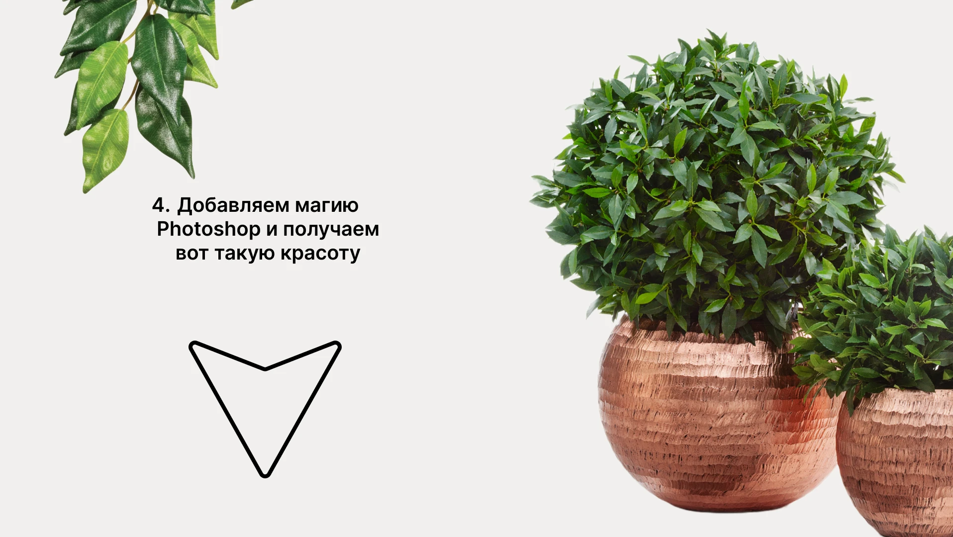 Лэндинг ArborAvenue — Изображение №10 — Интерфейсы на Dprofile