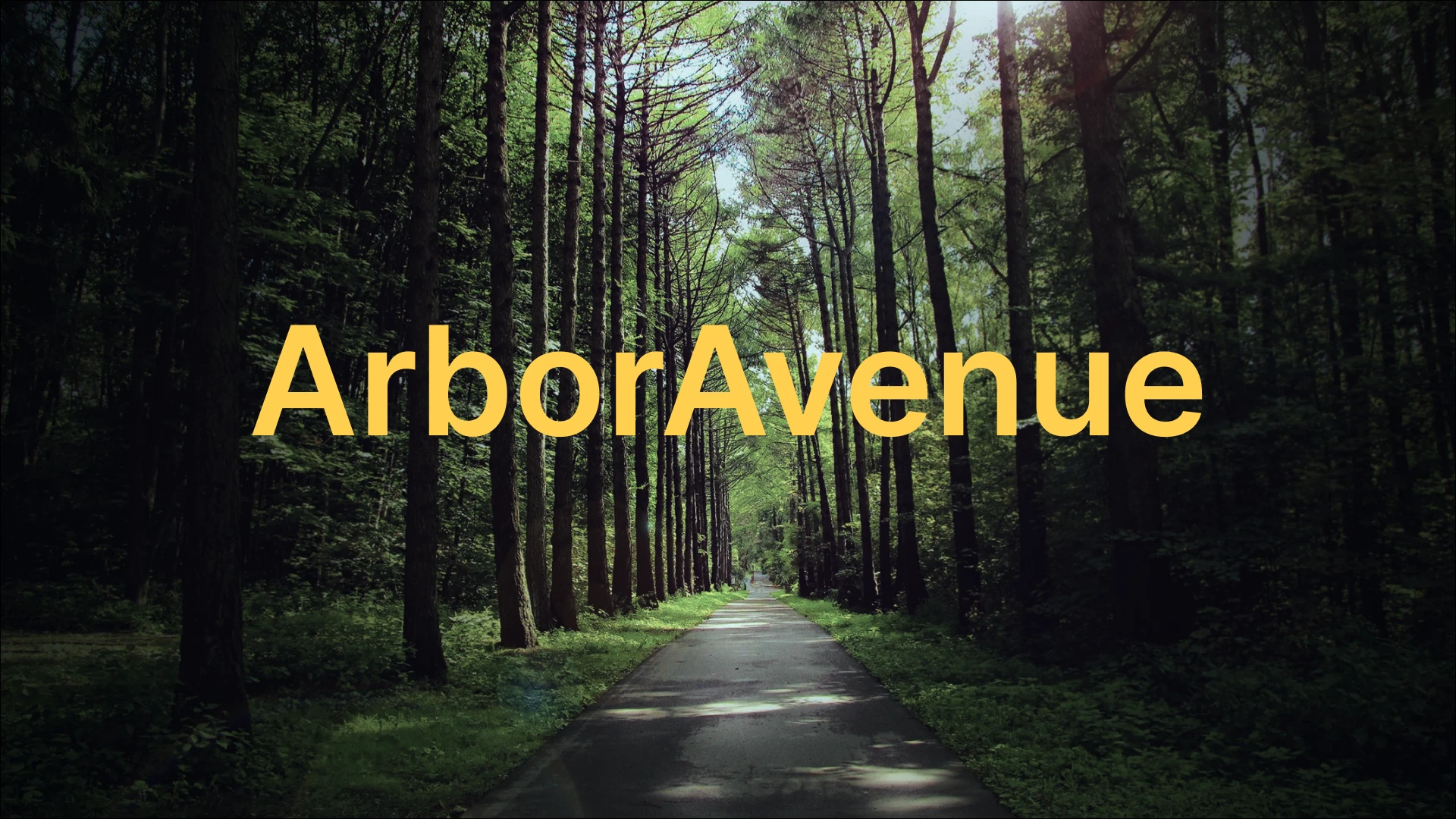 Лэндинг ArborAvenue — Изображение №1 — Интерфейсы на Dprofile