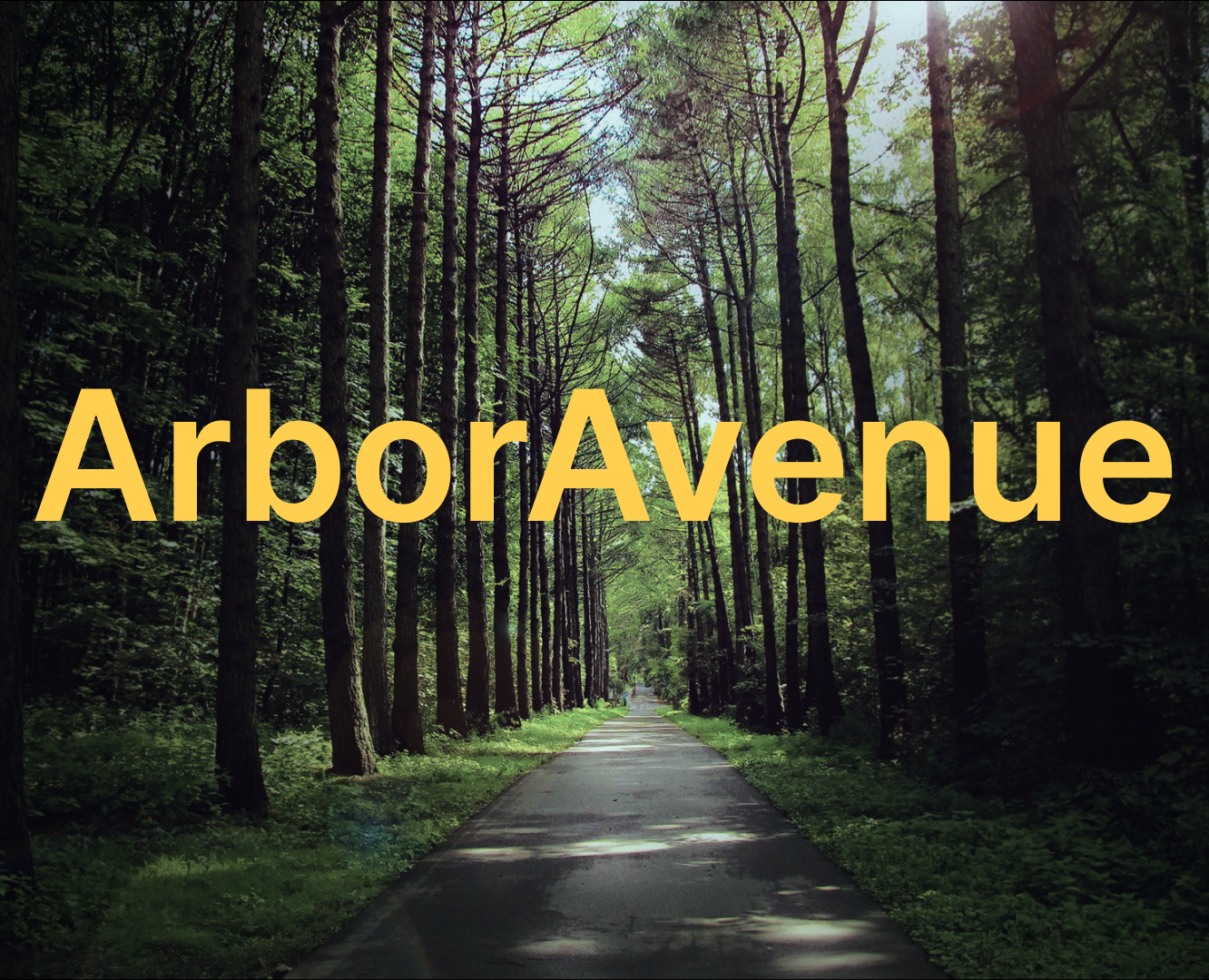 Лэндинг ArborAvenue на Dprofile