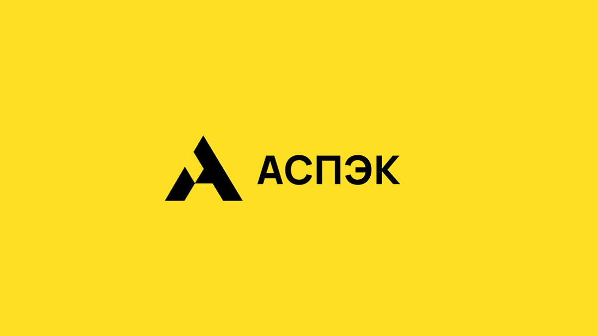ASPEK Consulting — Изображение №1 — Брендинг на Dprofile