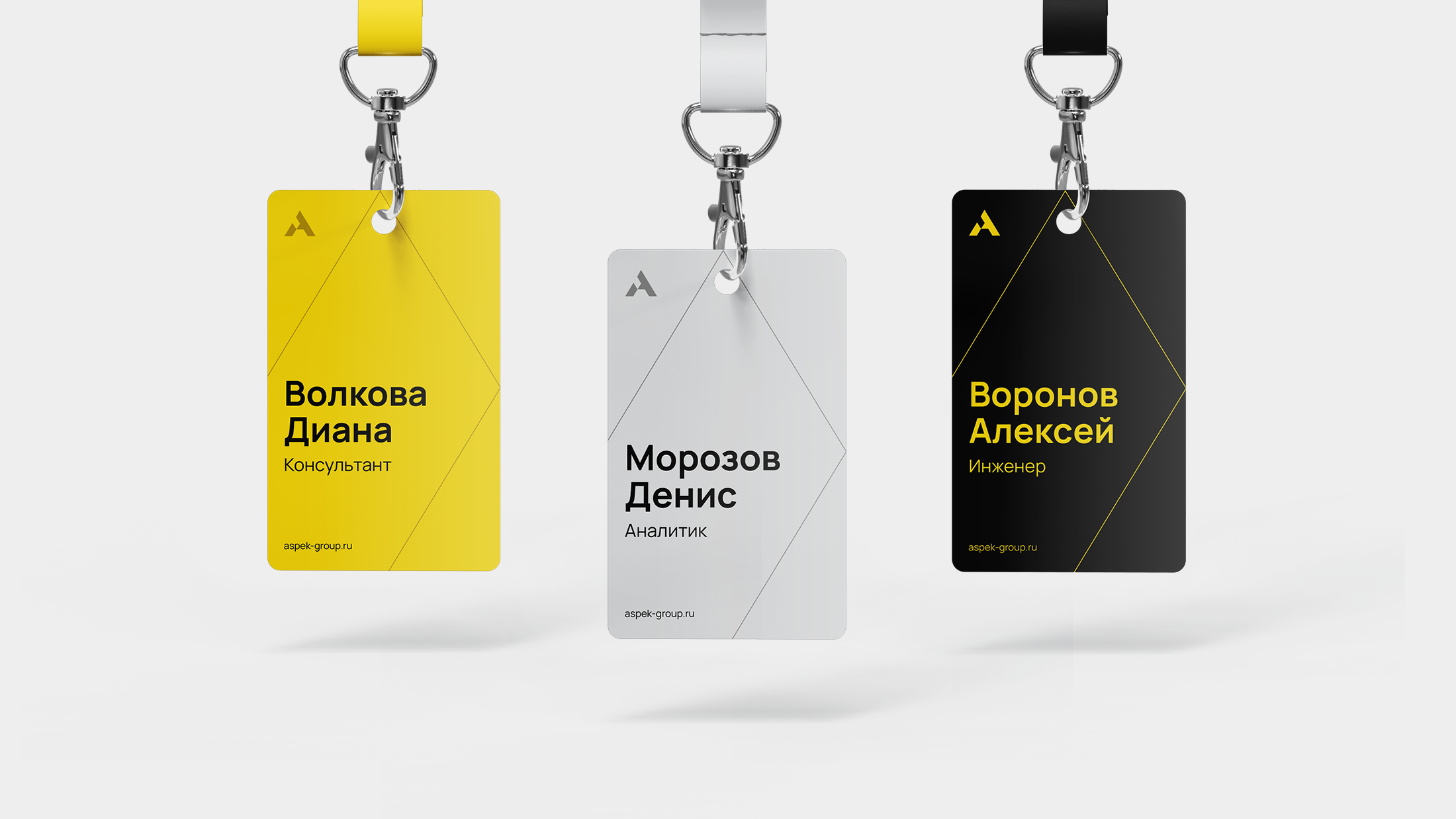 ASPEK Consulting — Изображение №7 — Брендинг на Dprofile