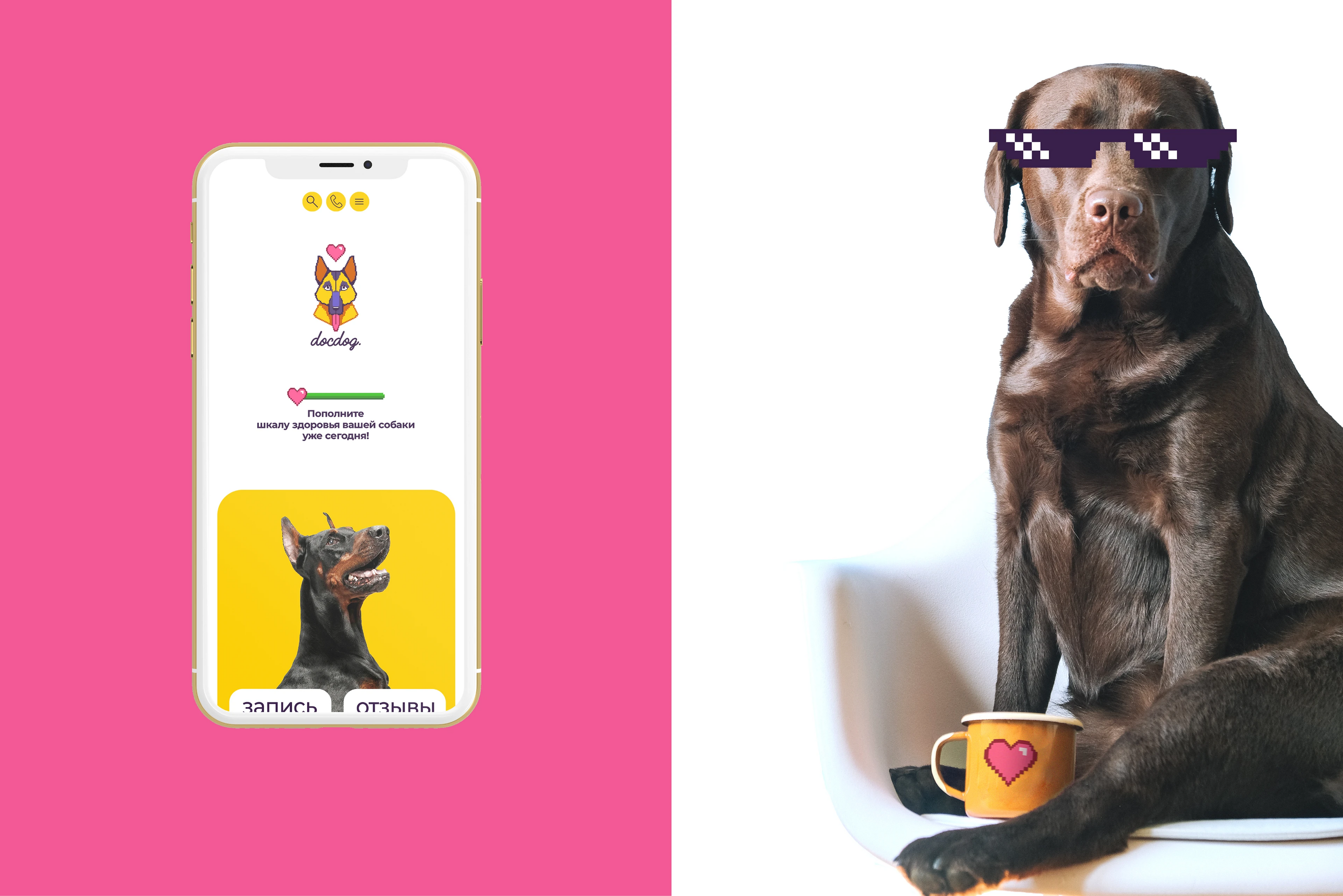 docdog. | ветклиника для собак — Изображение №8 — Брендинг на Dprofile