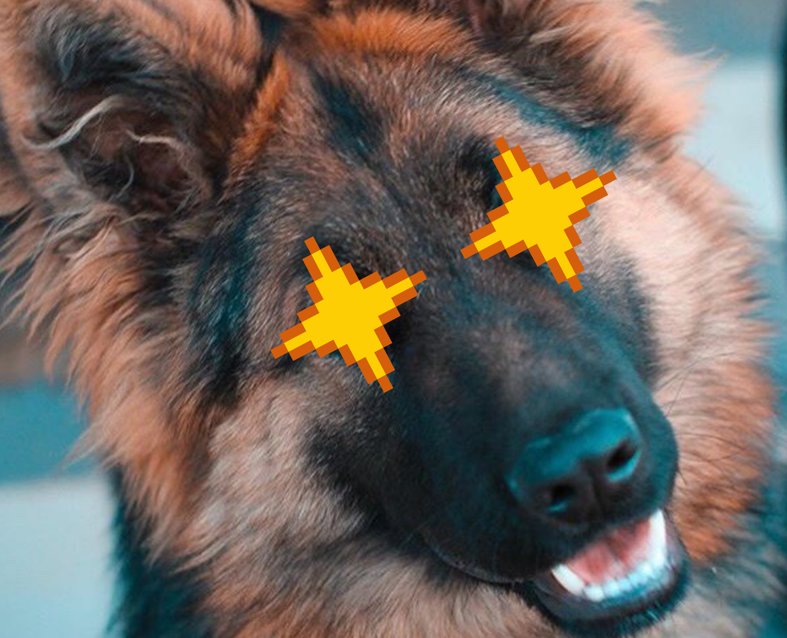 docdog. | ветклиника для собак — Брендинг на Dprofile