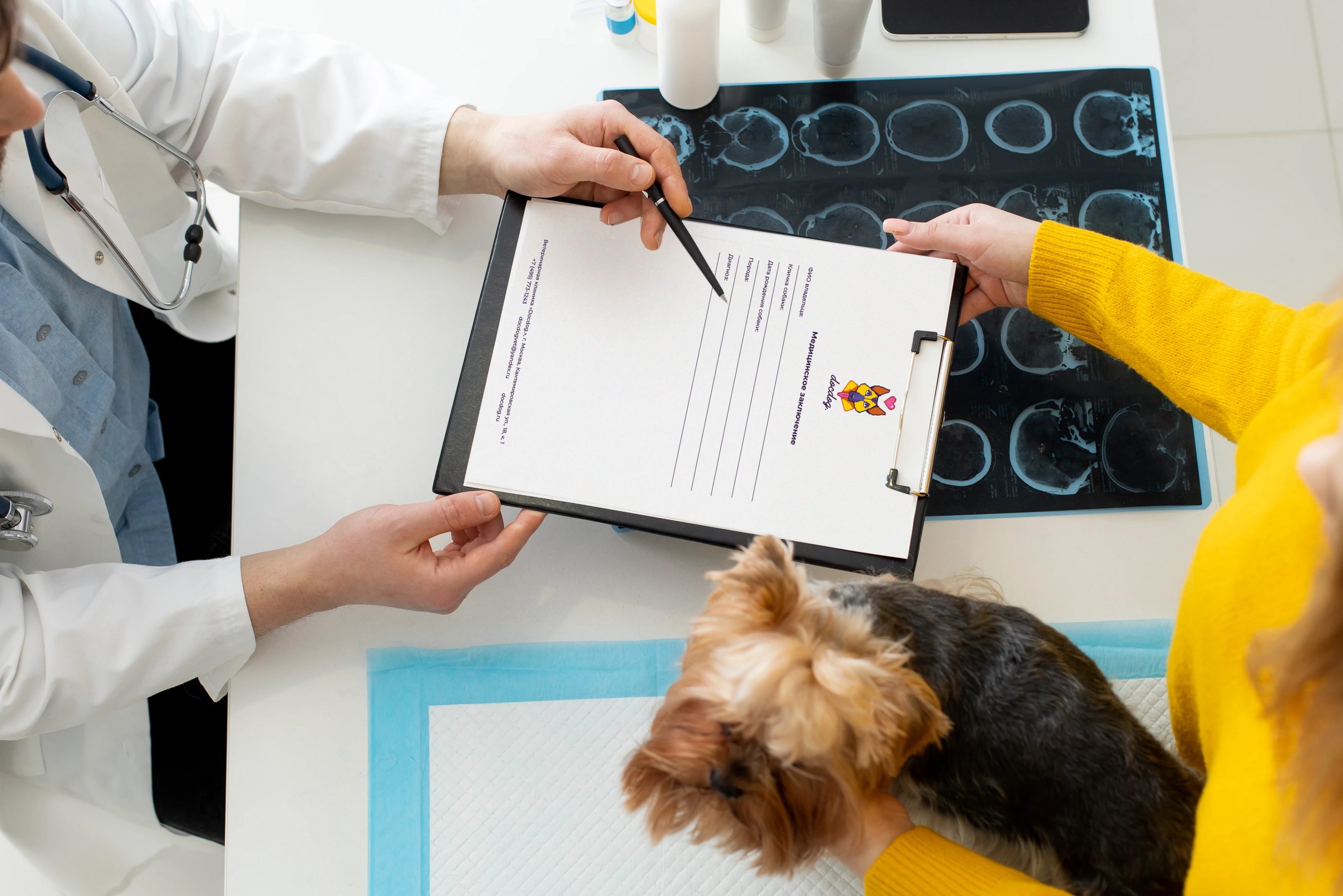 docdog. | ветклиника для собак — Изображение №7 — Брендинг на Dprofile