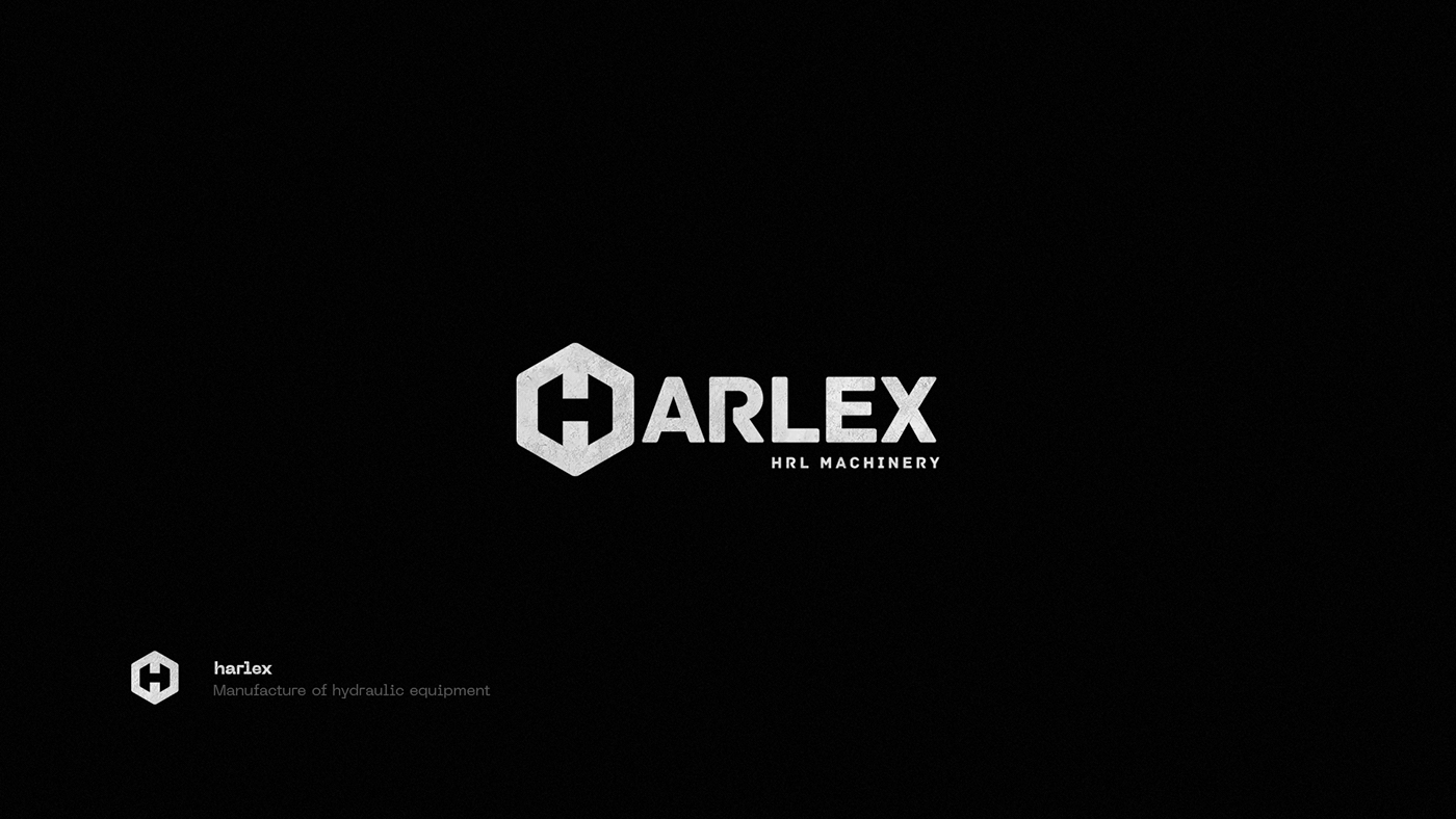 Logofolio 2023 — Изображение №19 — Брендинг, Иллюстрация на Dprofile