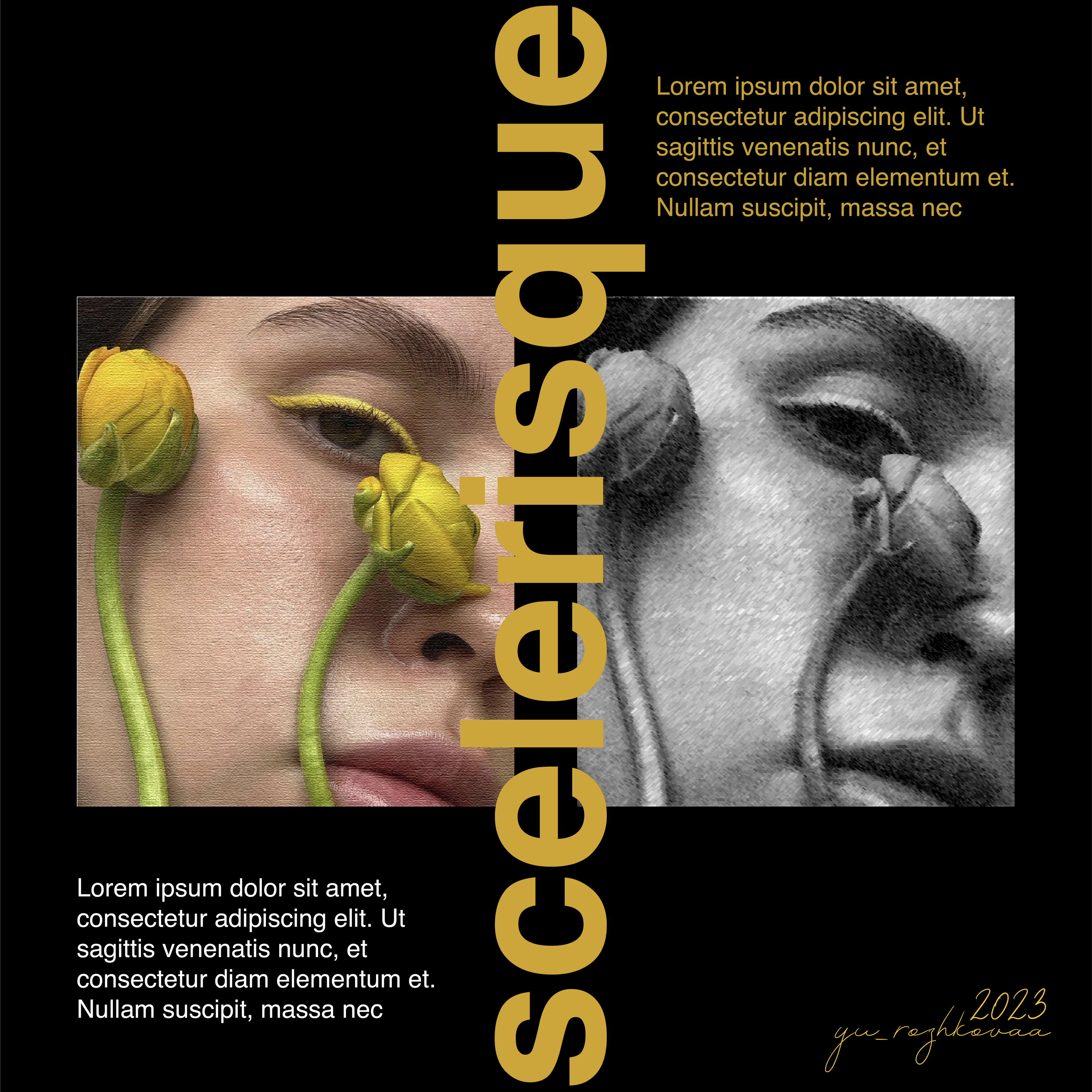 цвет/фон/шрифт — Изображение №3 — Брендинг, Маркетинг на Dprofile