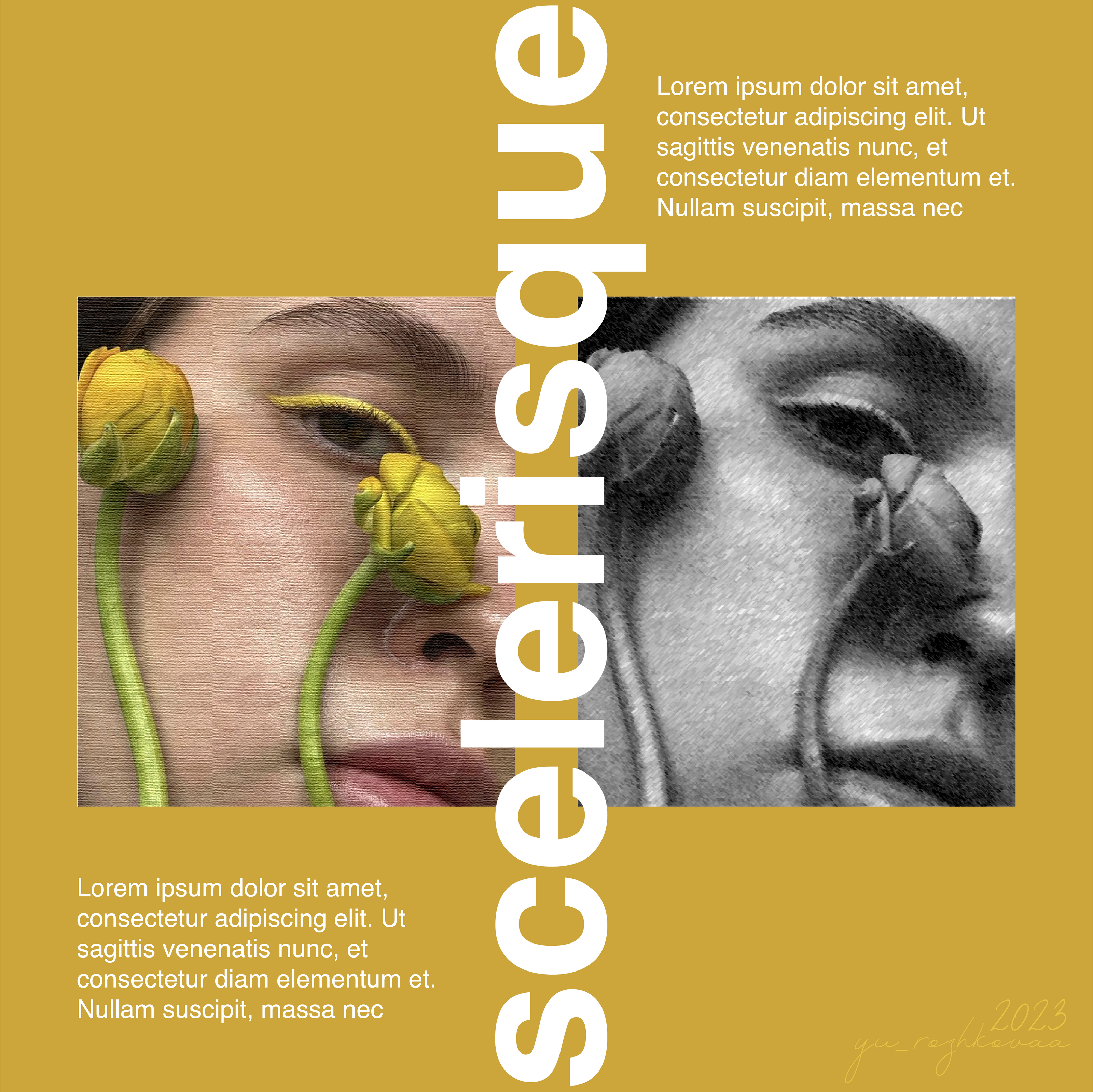 цвет/фон/шрифт — Изображение №2 — Брендинг, Маркетинг на Dprofile