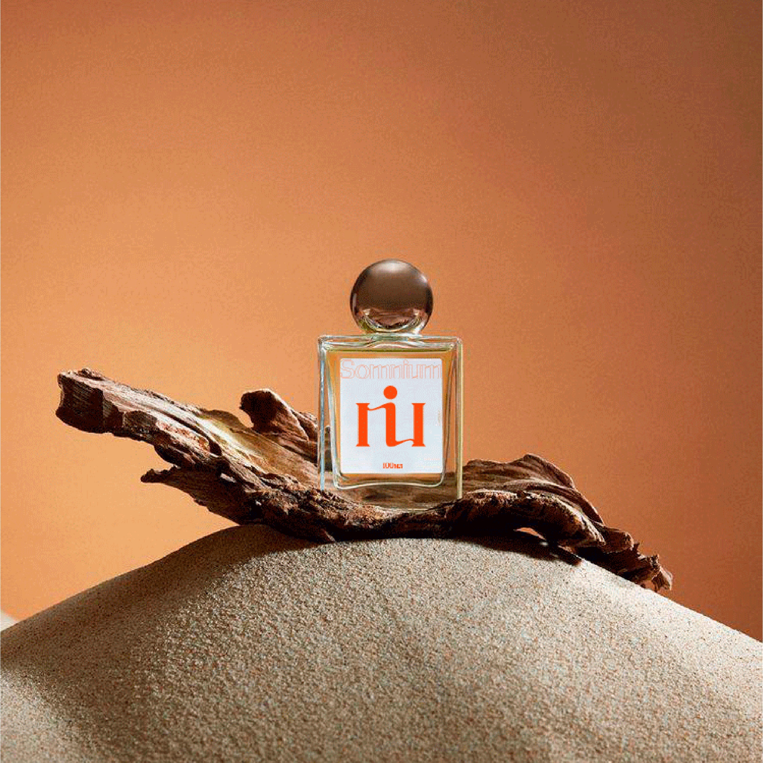 Логотип для парфюмерного бутика — Изображение №5 — Брендинг, Маркетинг на Dprofile