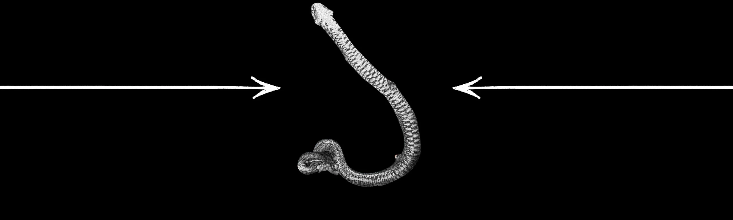 Дизайн обложки сингла Rilès – Thank God — Изображение №4 — Брендинг, Графика на Dprofile