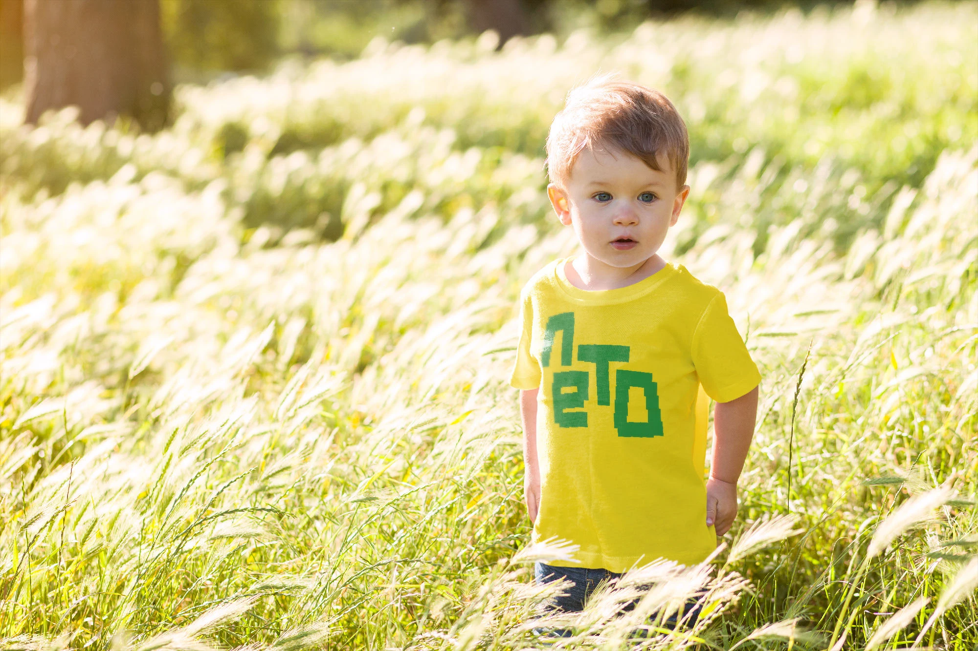 Лето | Детский фестиваль — Изображение №5 — Брендинг, Графика на Dprofile