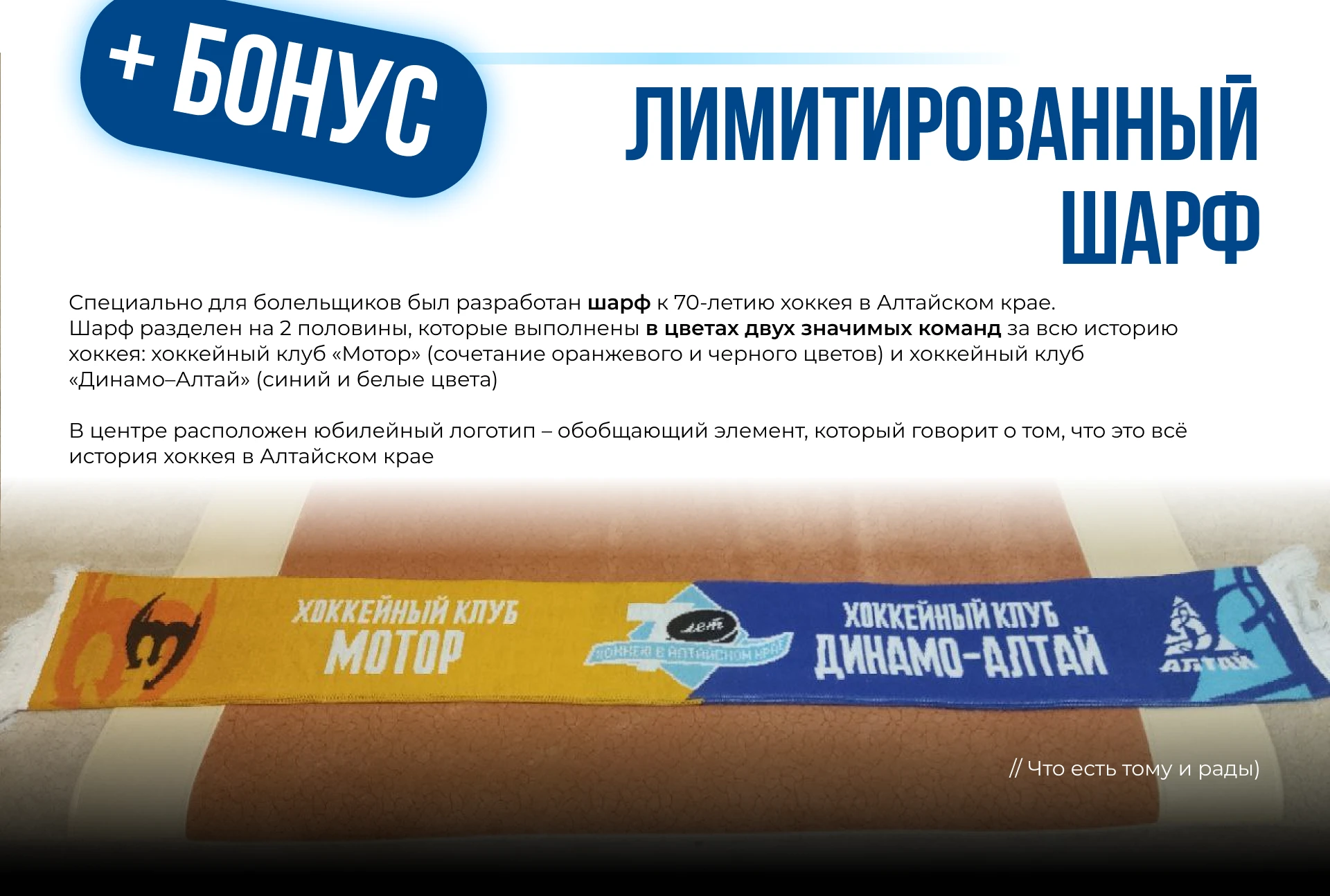BRANDING | 70 лет хоккею в Алтайском крае — Изображение №7 — Брендинг, Графика на Dprofile