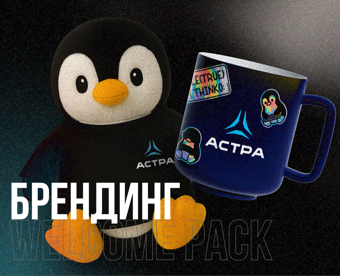 BRANDING | Астра Welcome pack на Dprofile
