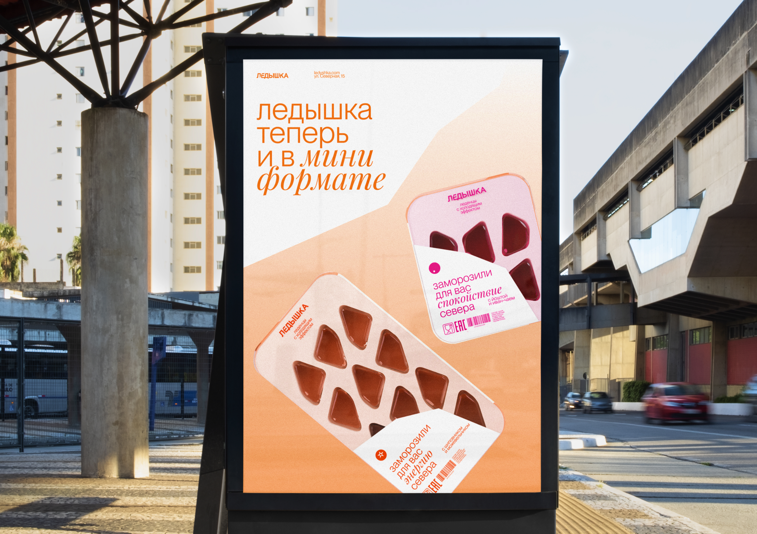 Упаковка для леденов Ледышка — Изображение №11 — Брендинг на Dprofile