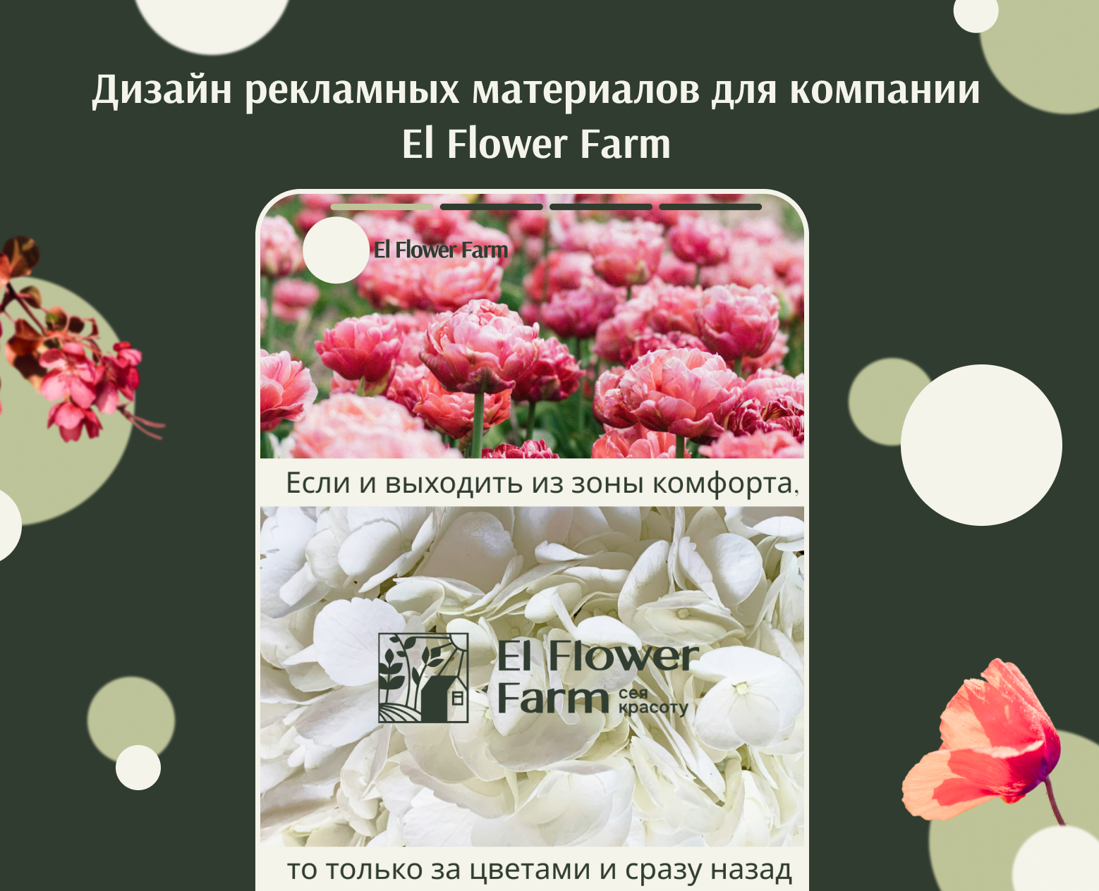 Дизайн рекламных материалов для компании "El Flower Farm" на Dprofile