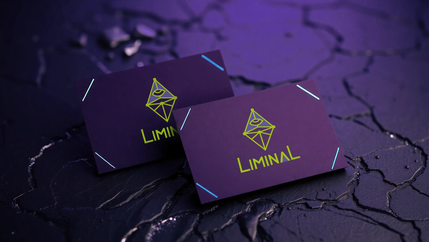 LiminaL — Портал в параллельные миры. Логотип и фир. стиль — Изображение №10 — Брендинг, Графика на Dprofile
