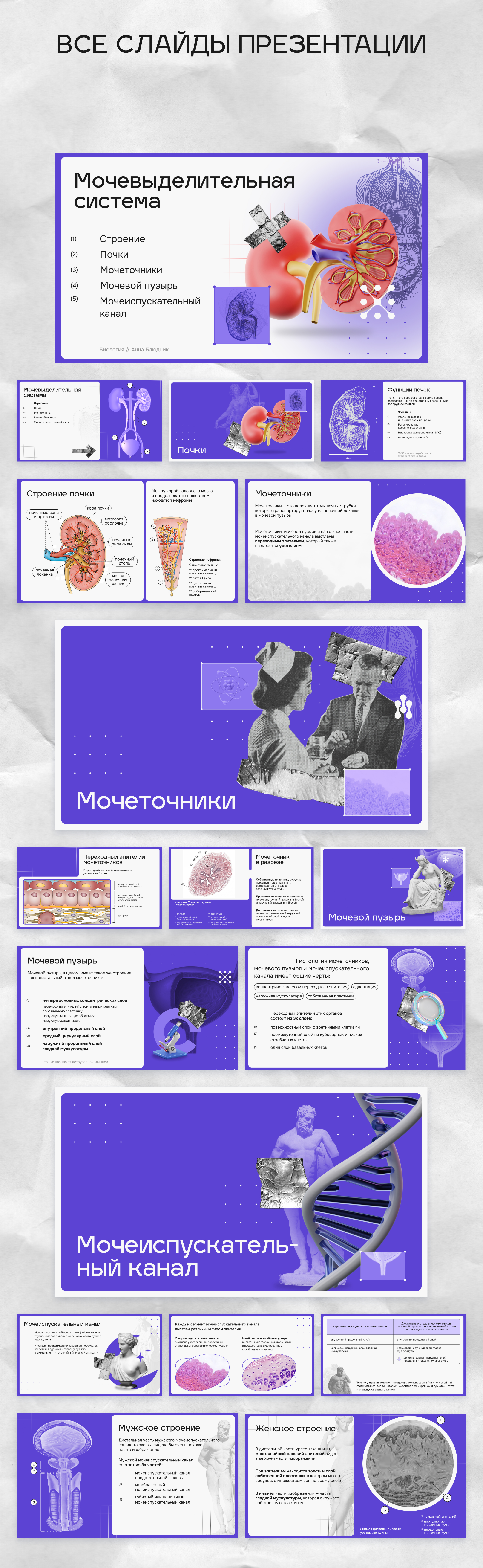 Для урока биологии — Изображение №6 — Маркетинг на Dprofile