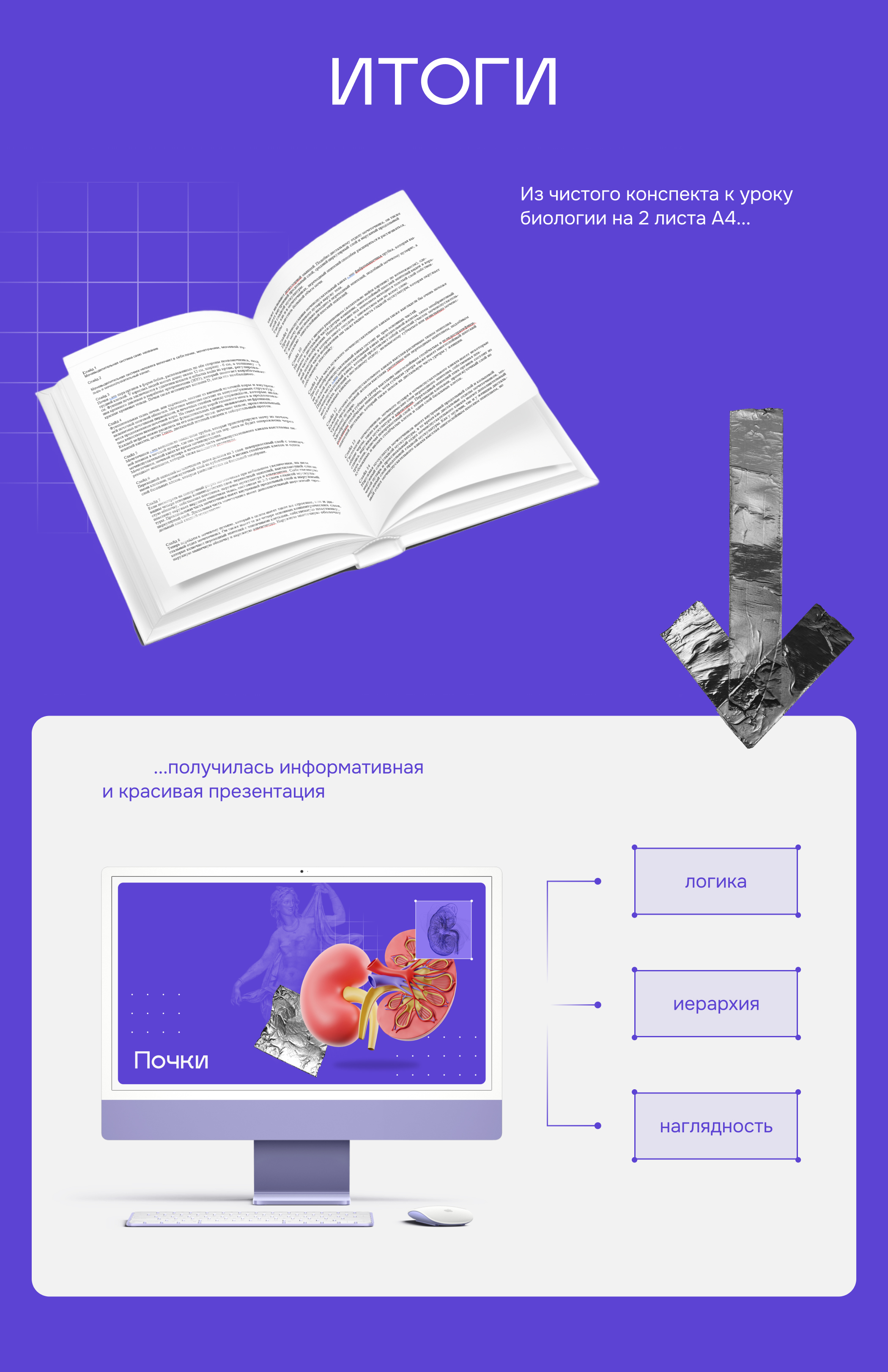 Для урока биологии — Изображение №7 — Маркетинг на Dprofile
