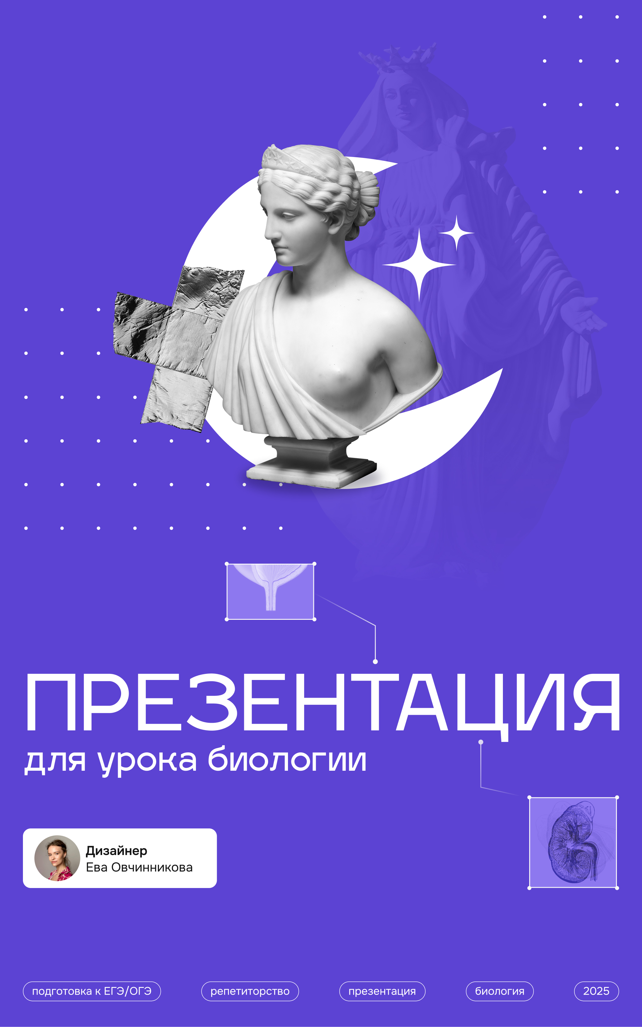 Для урока биологии — Изображение №1 — Маркетинг на Dprofile